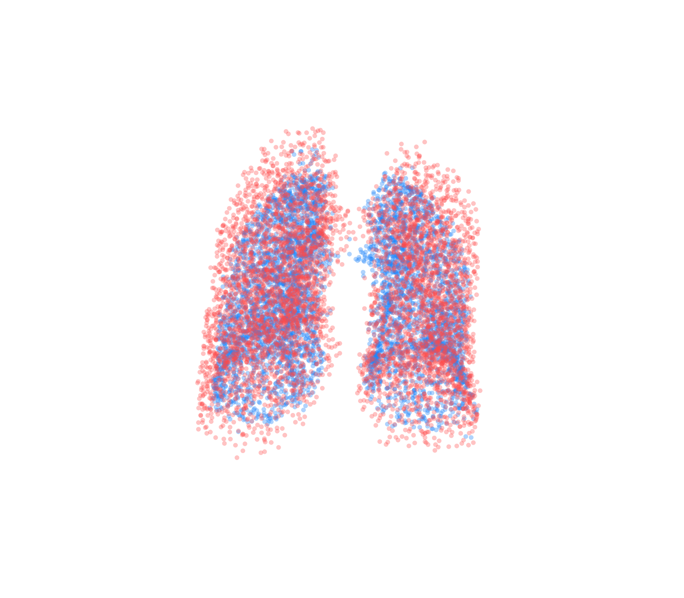 Point Cloud - Front View