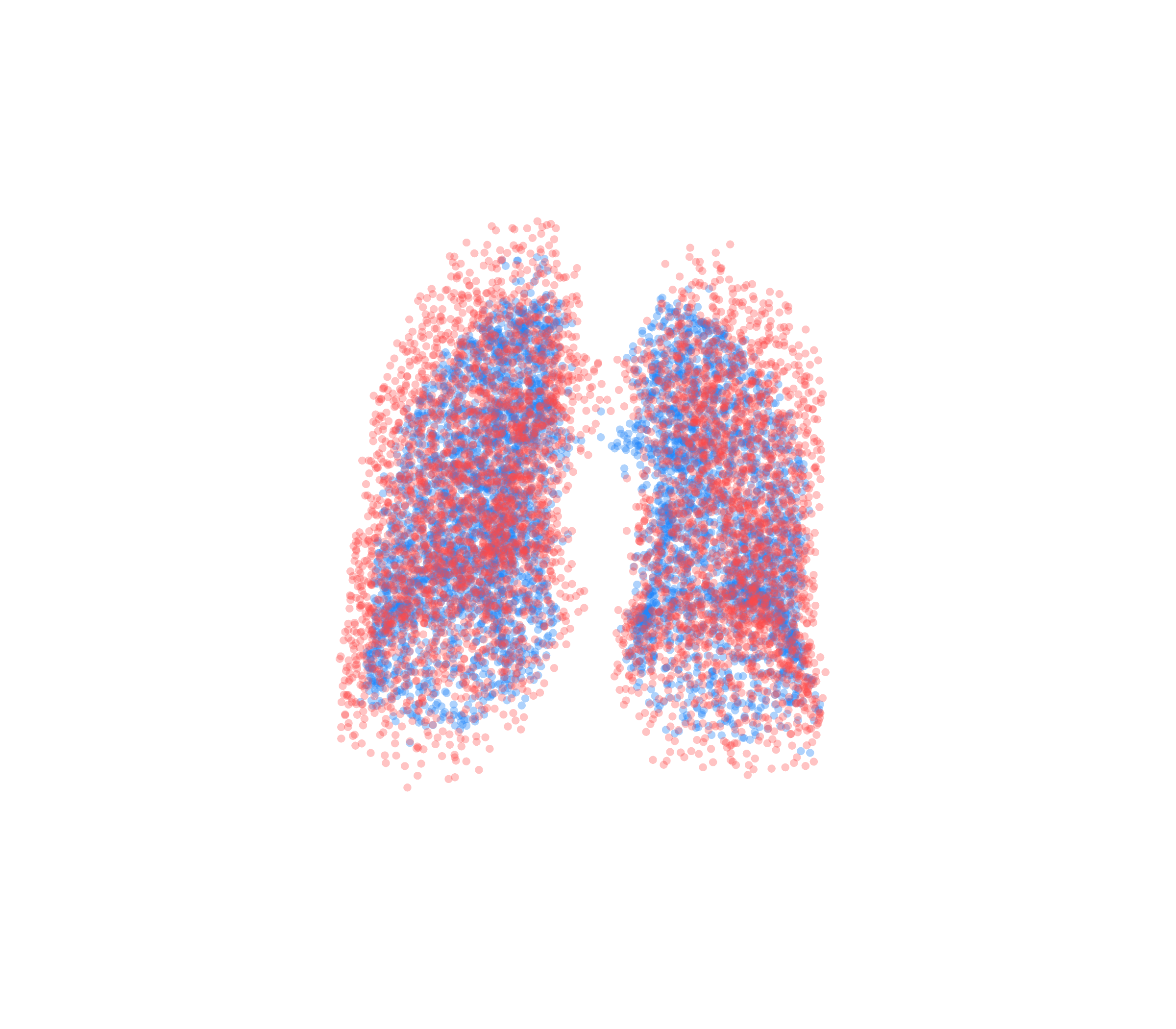 Point Cloud - Front View