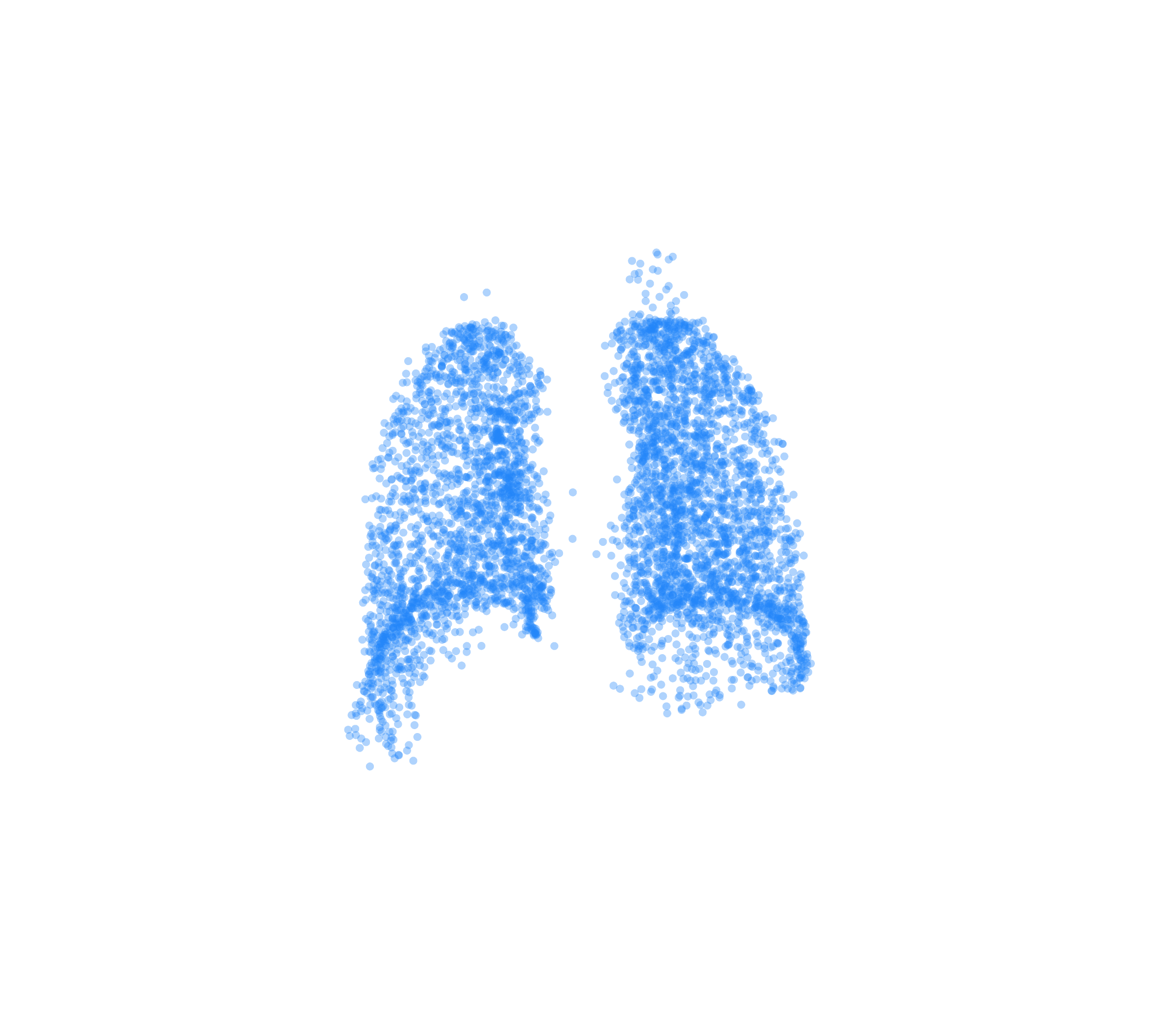 Point Cloud (Inspiration) - Back View