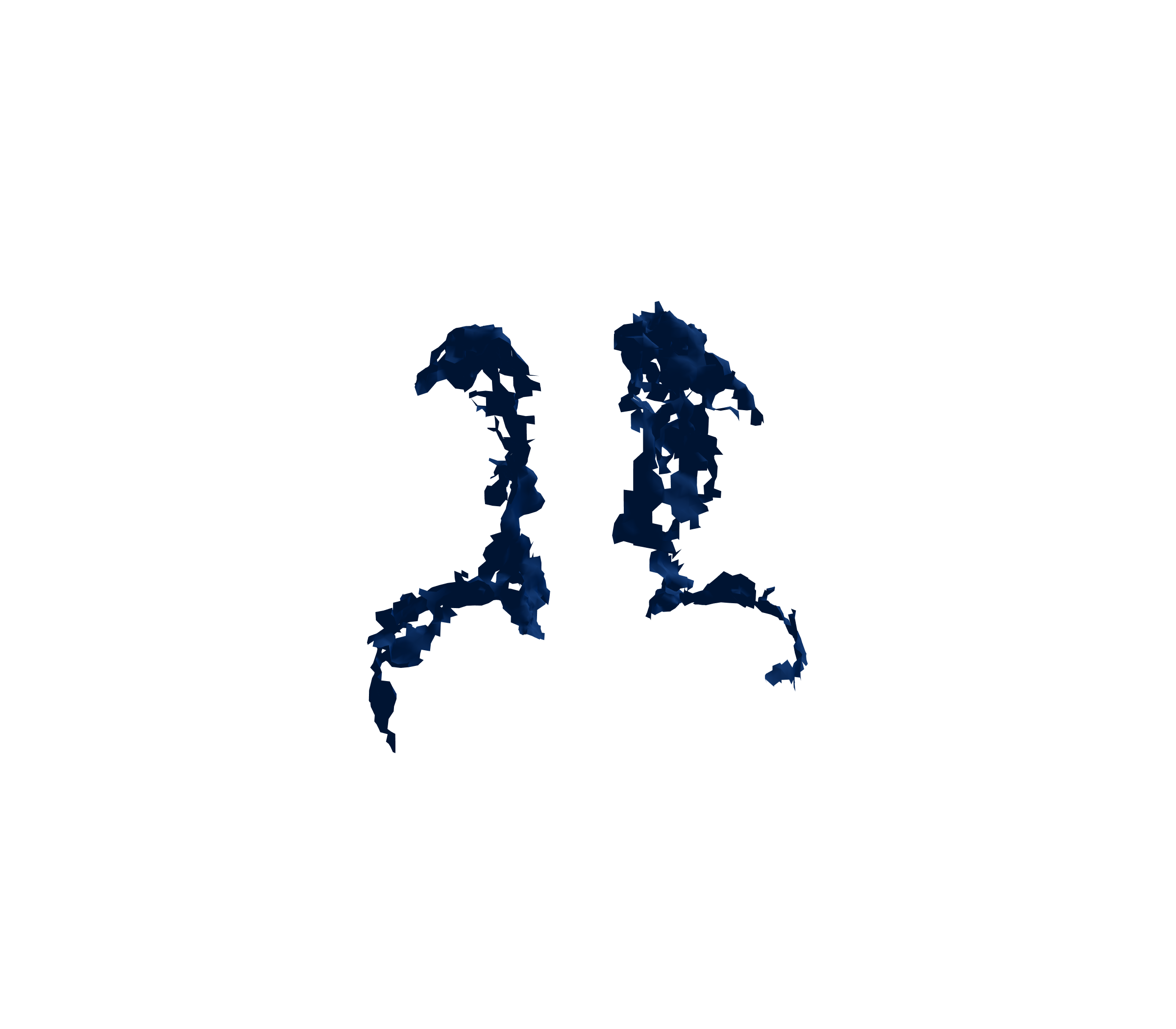 Surface Mesh (Inspiration) - Back View