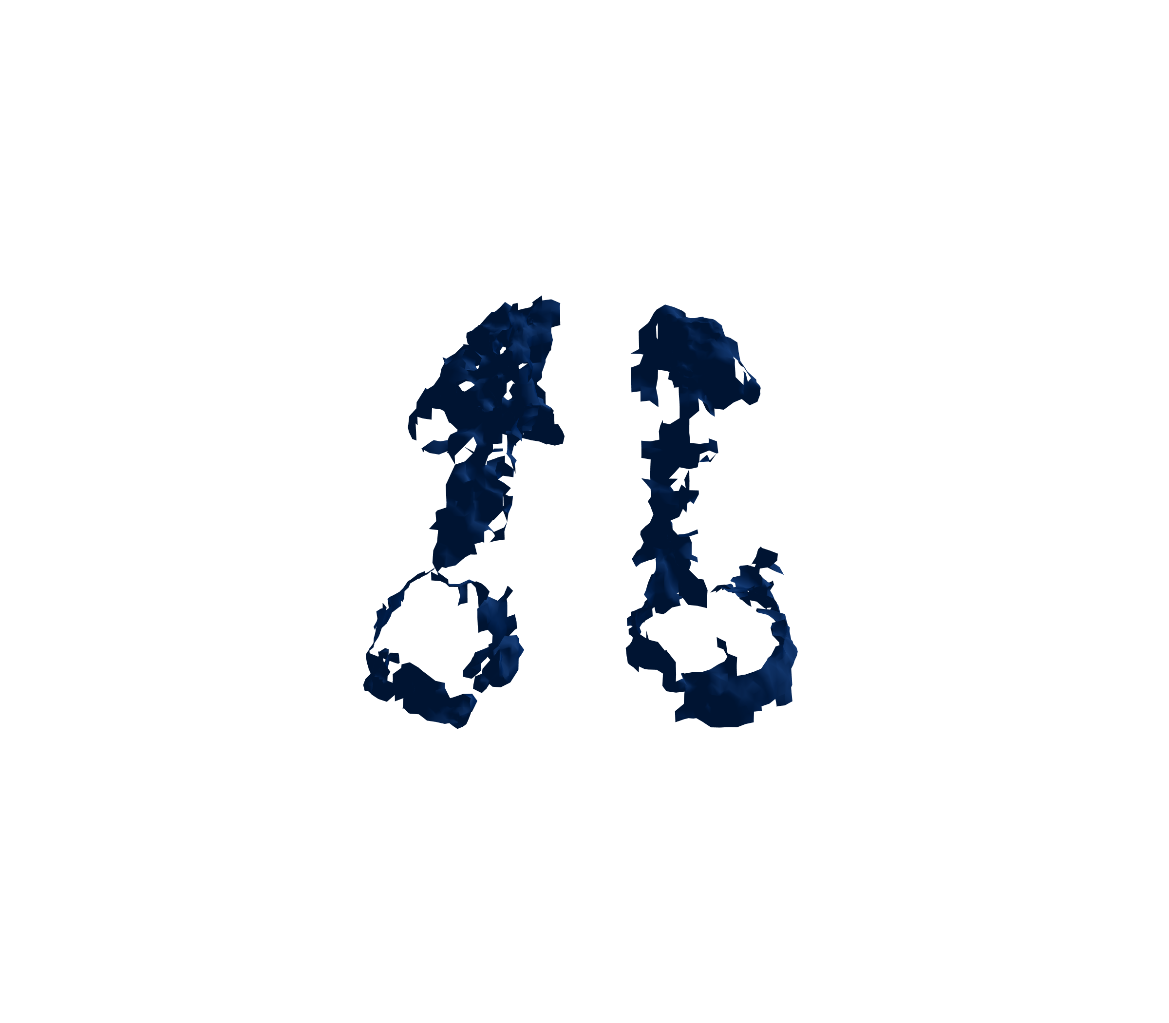 Surface Mesh (Inspiration) - Front View