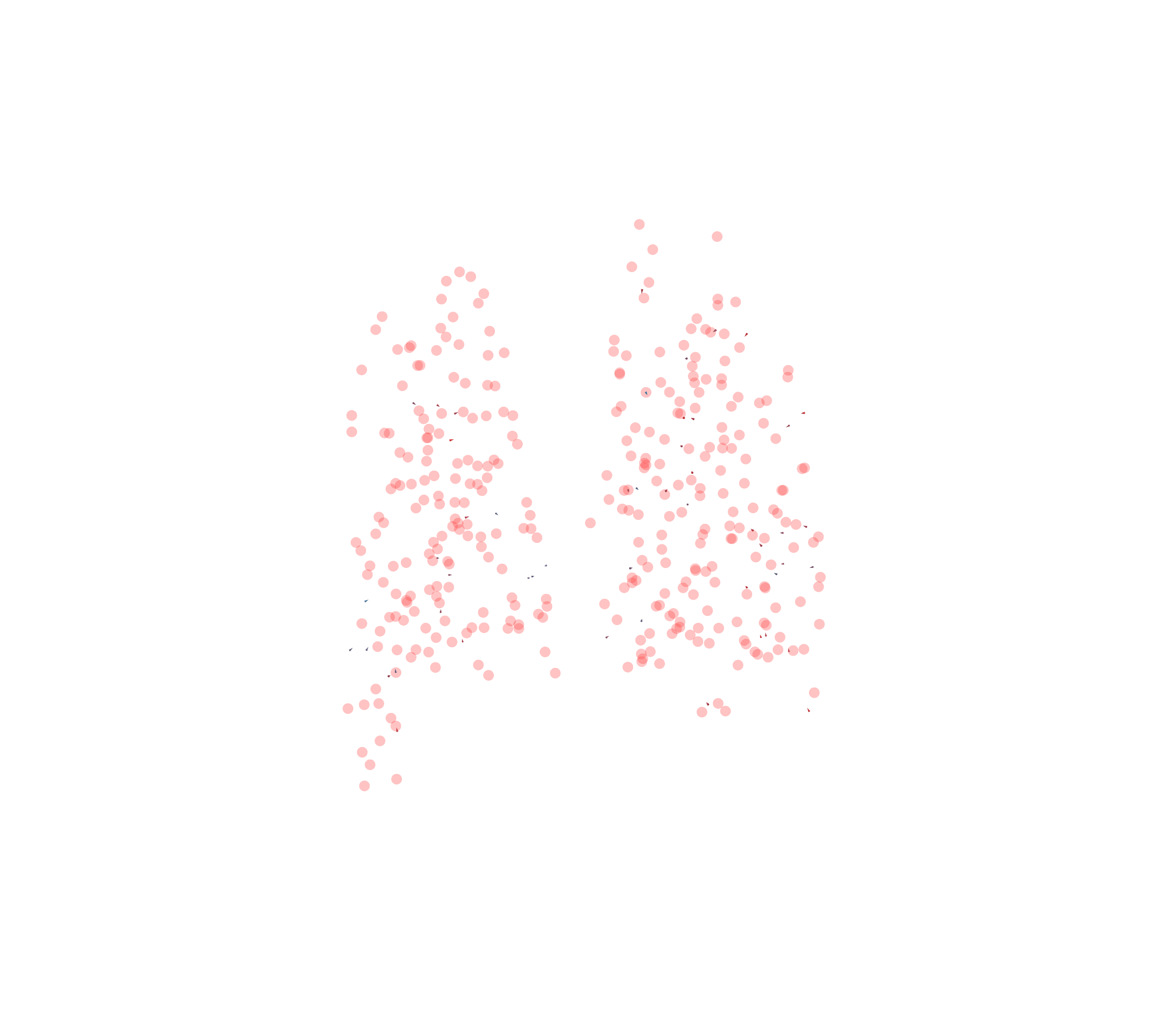 Displacement Vectors - Back View