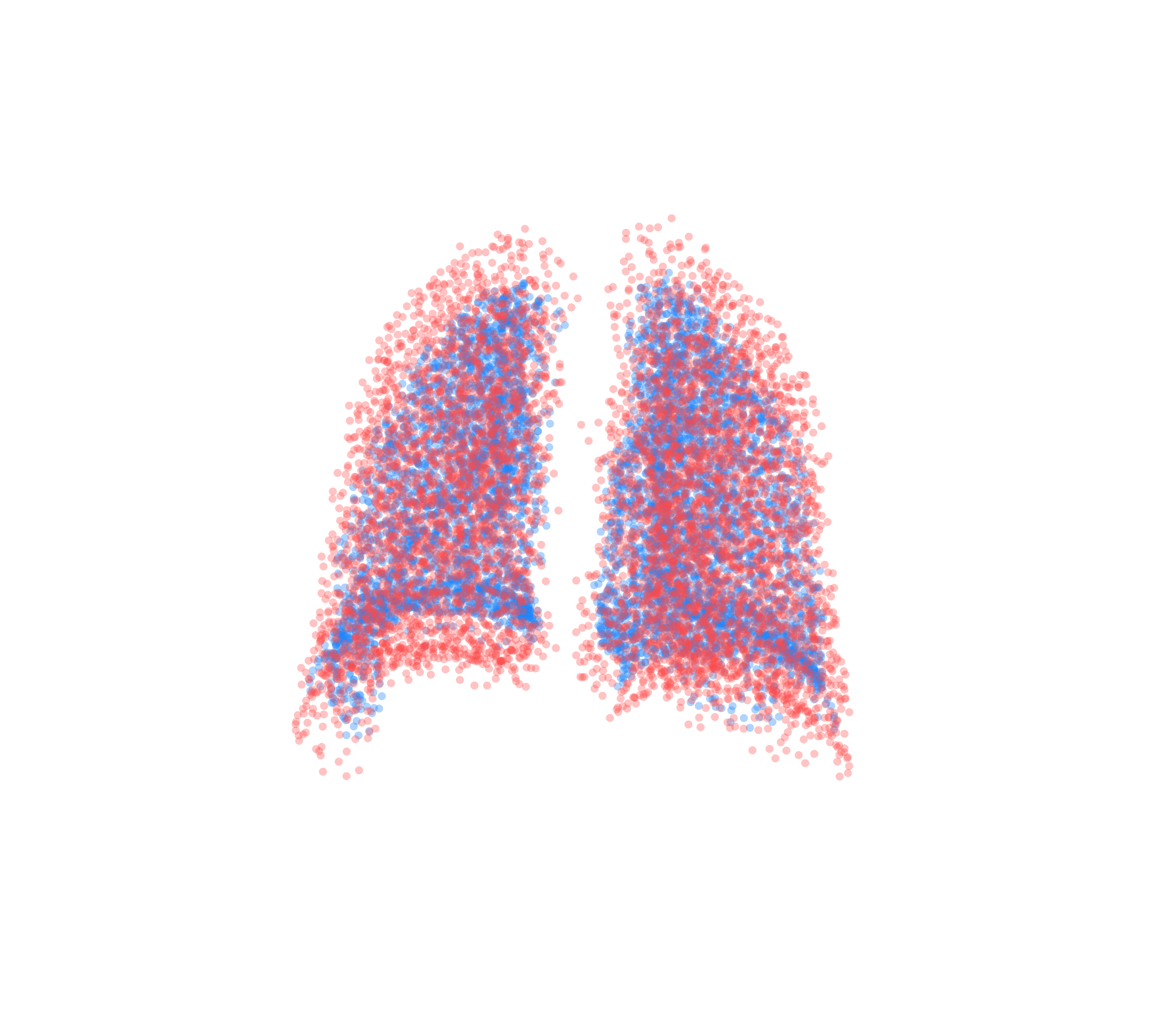 Point Cloud - Back View