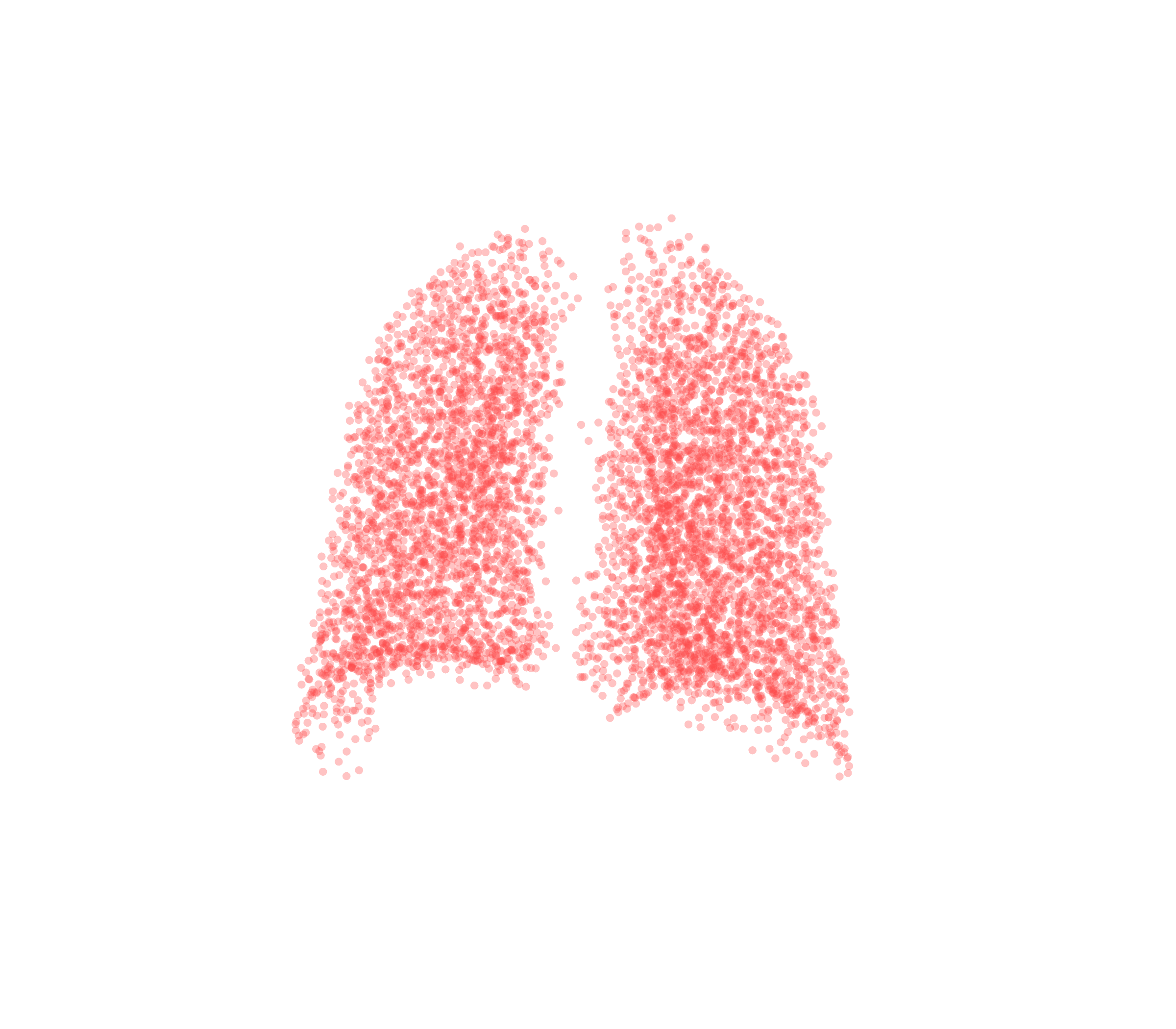 Point Cloud (Expiration) - Back View