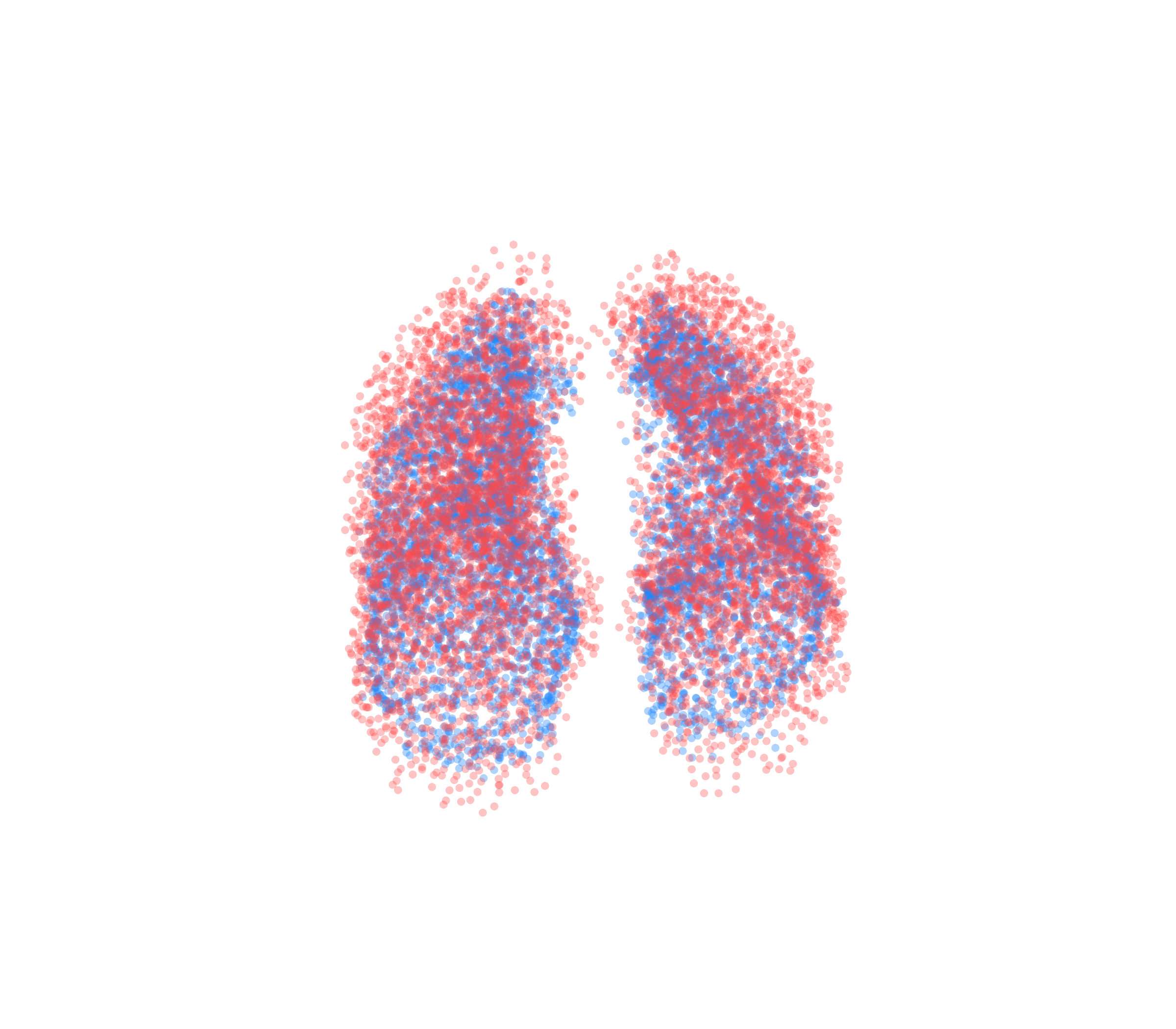 Point Cloud - Front View