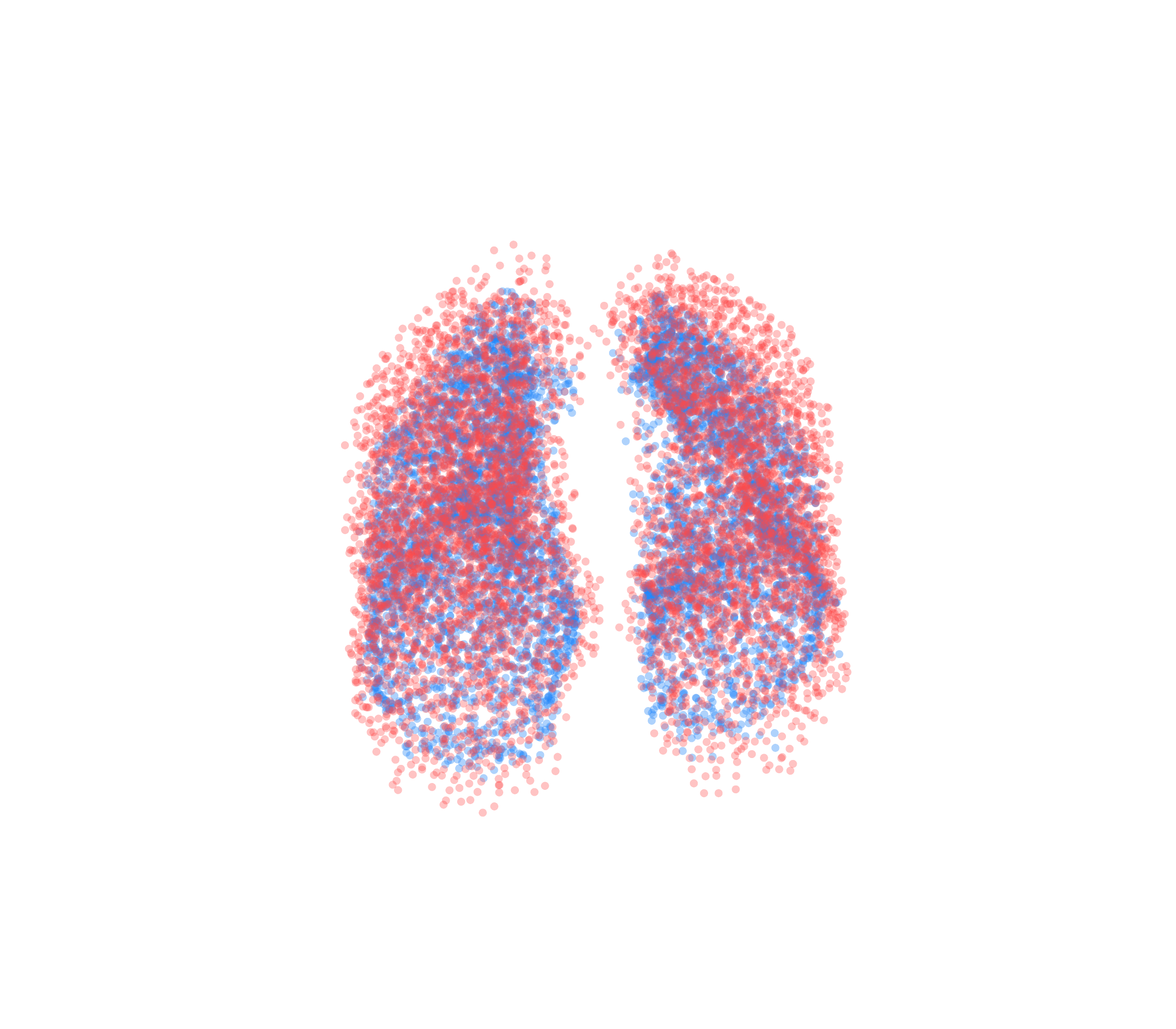 Point Cloud - Front View