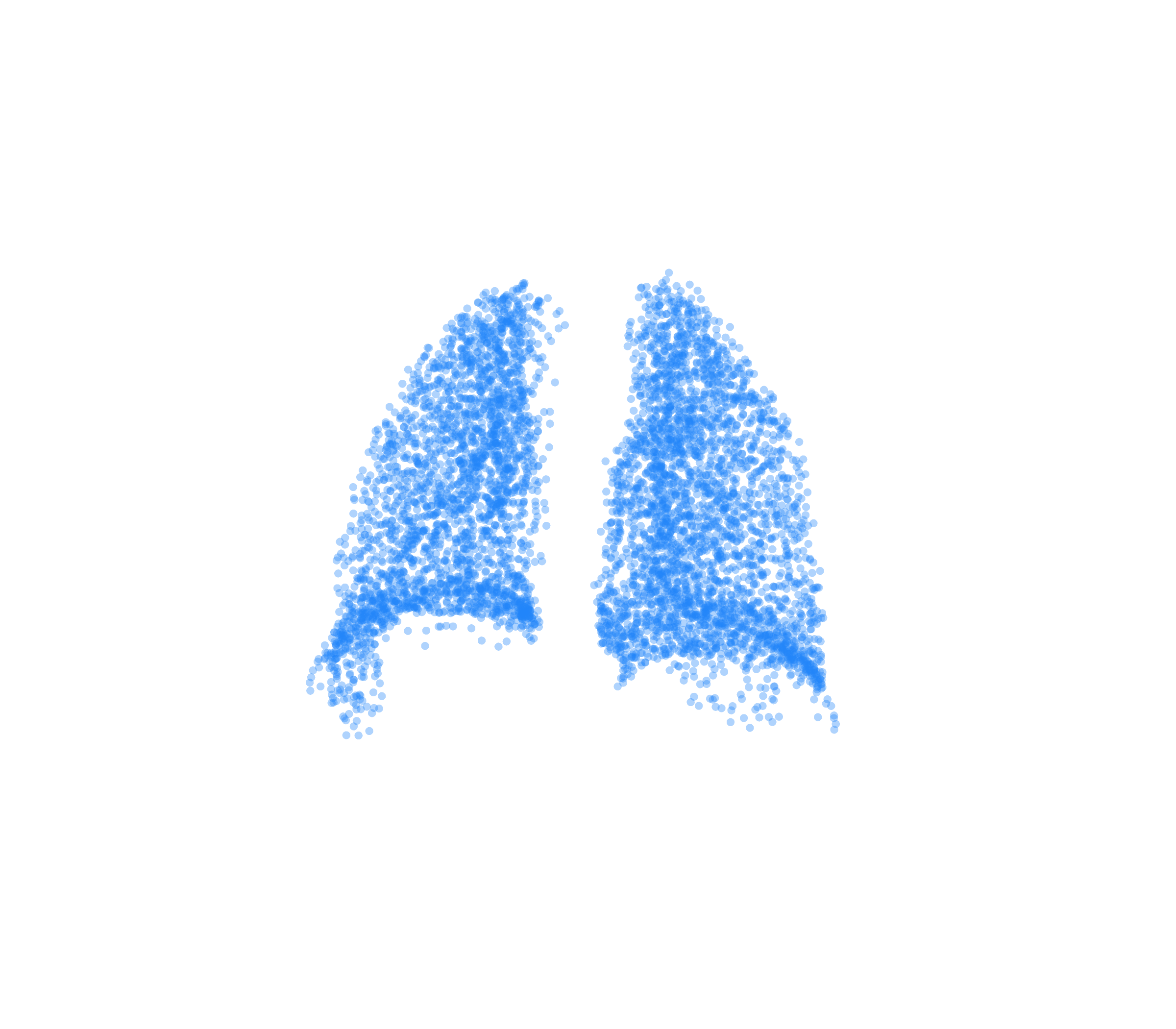 Point Cloud (Inspiration) - Back View