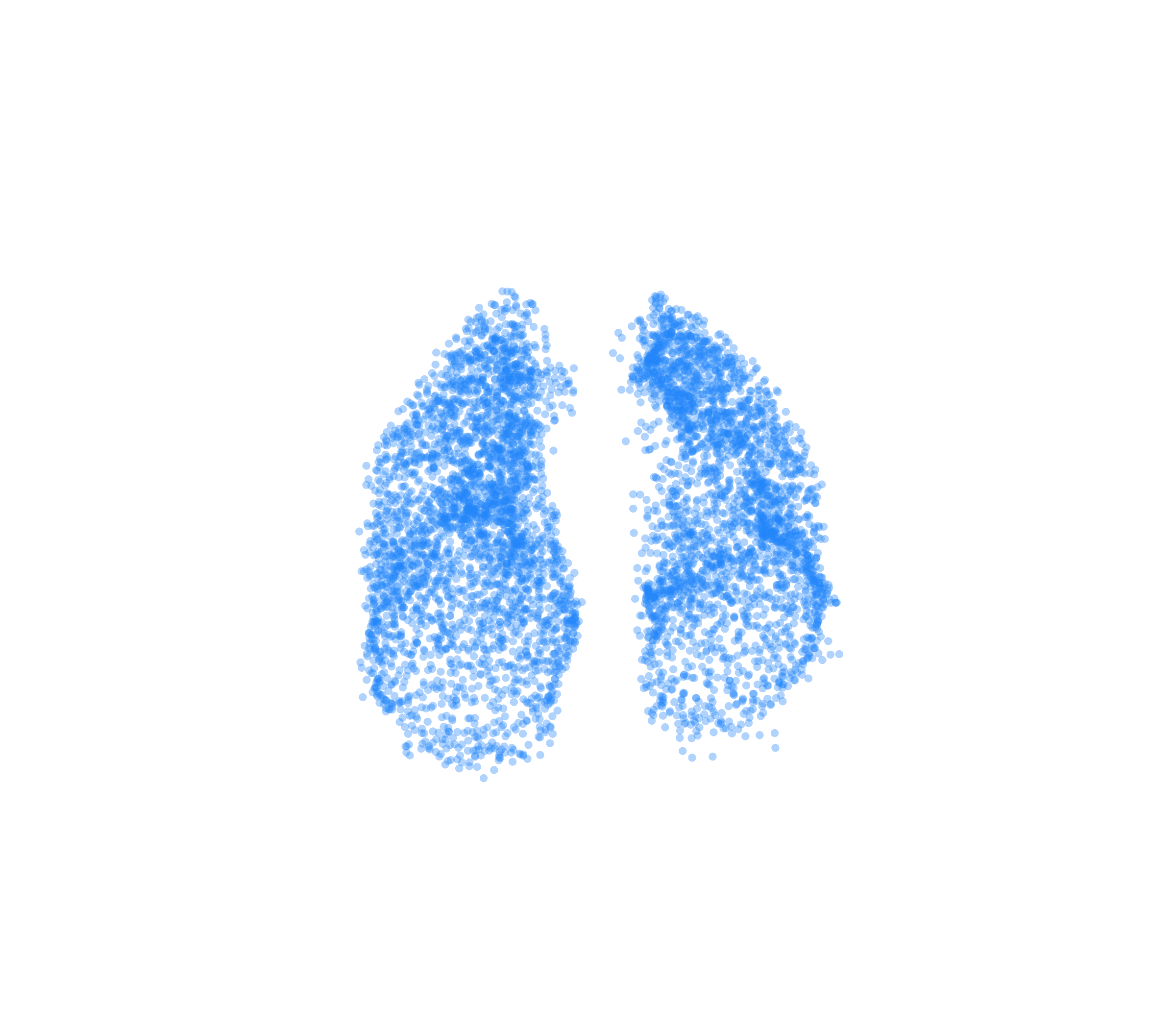 Point Cloud (Inspiration) - Front View