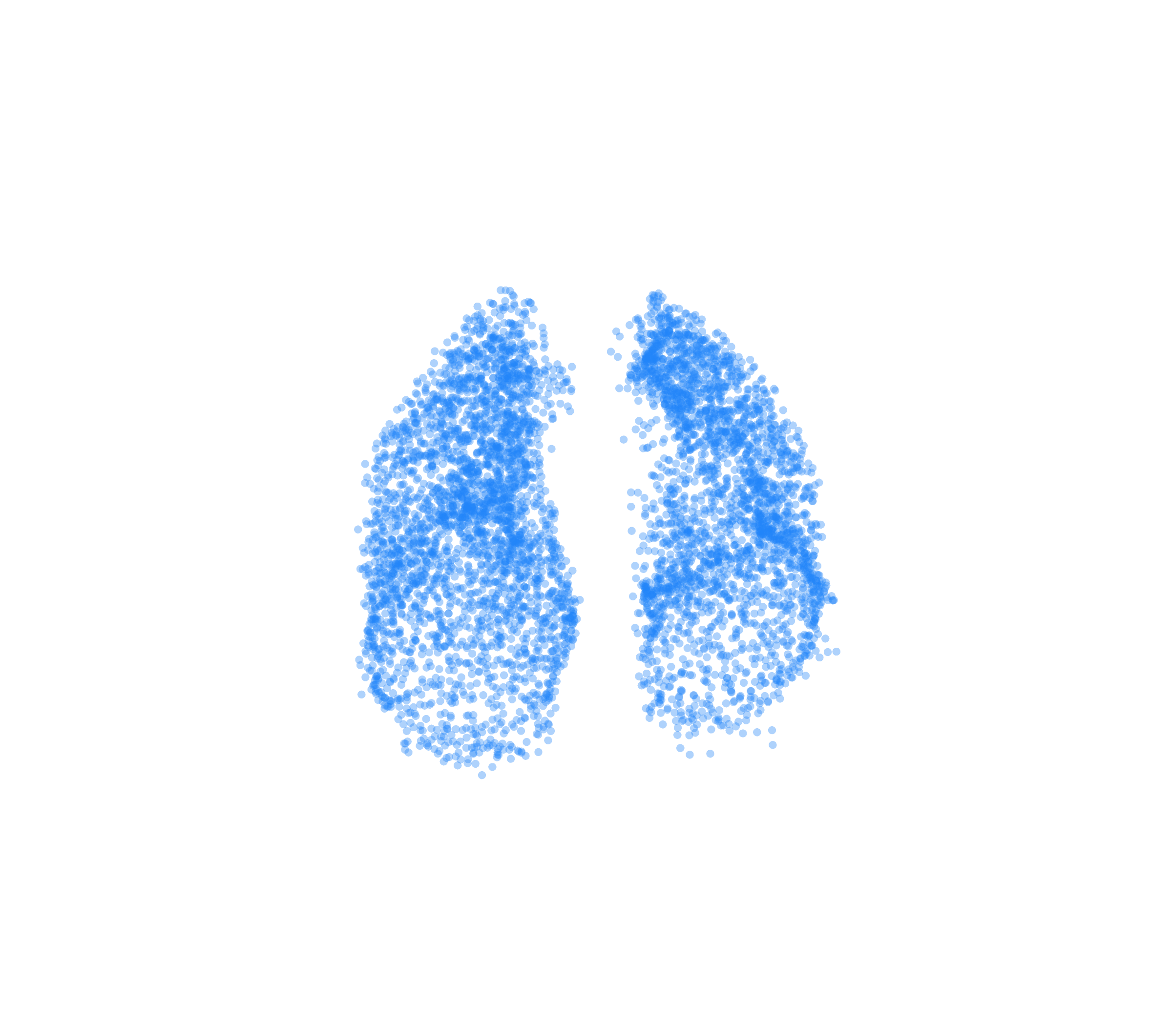 Point Cloud (Inspiration) - Front View