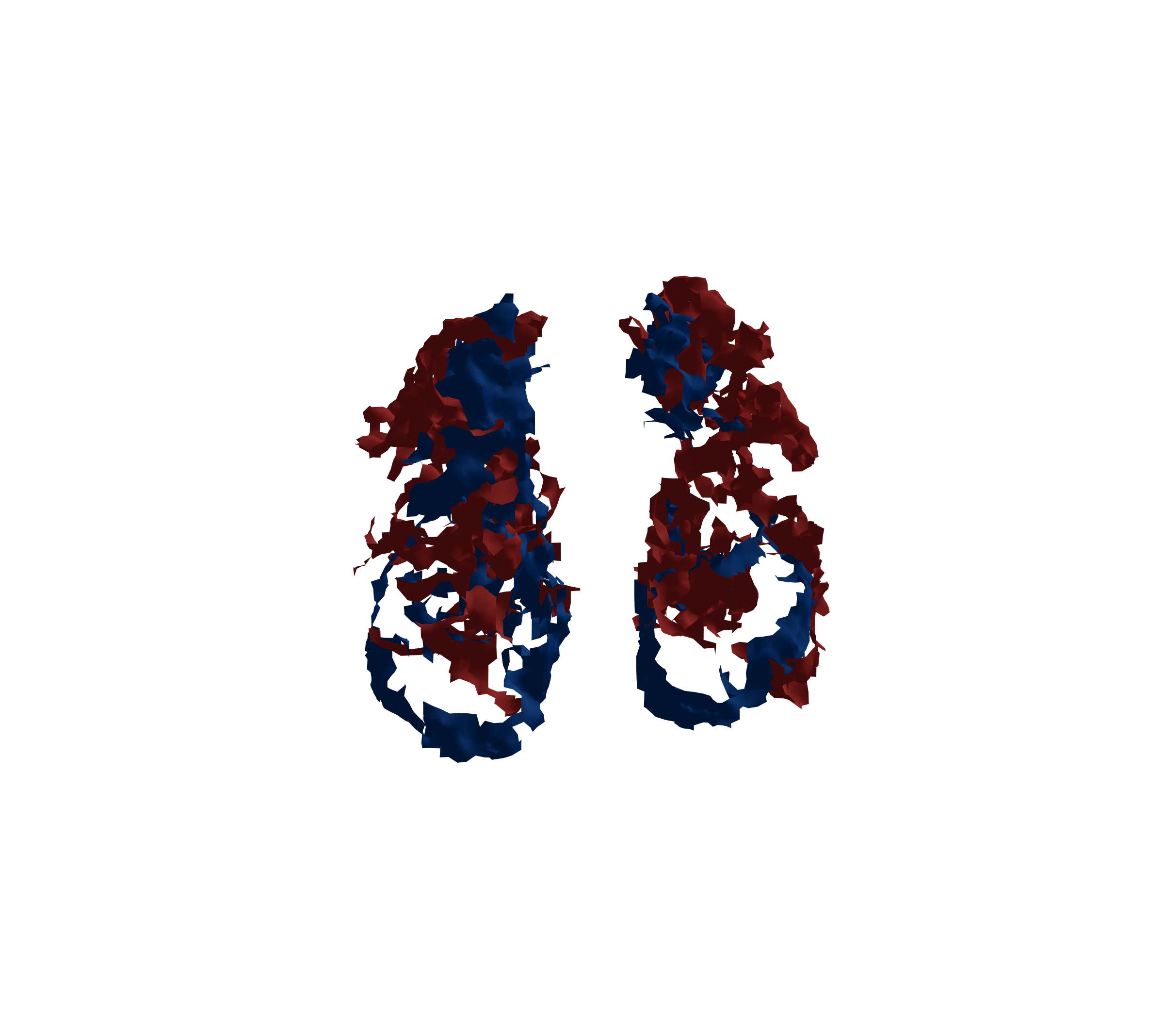 Surface Mesh - Front View