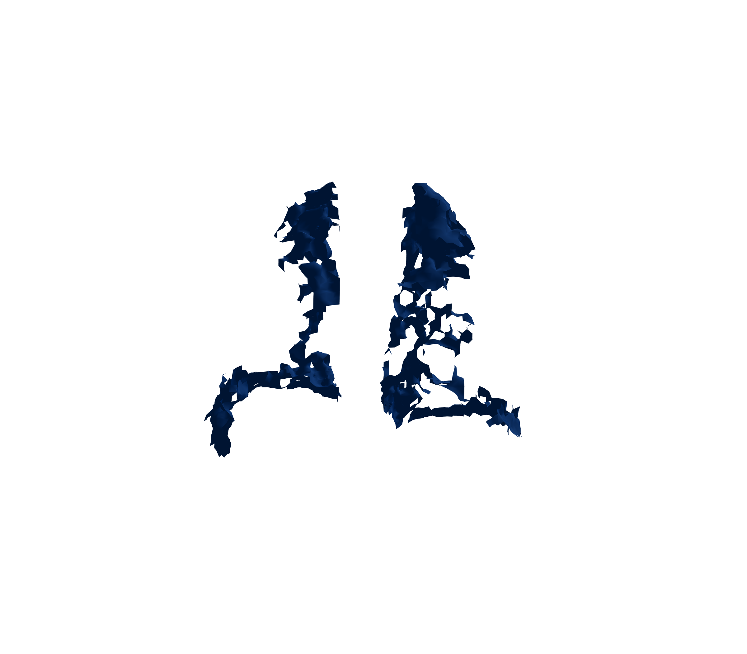 Surface Mesh (Inspiration) - Back View