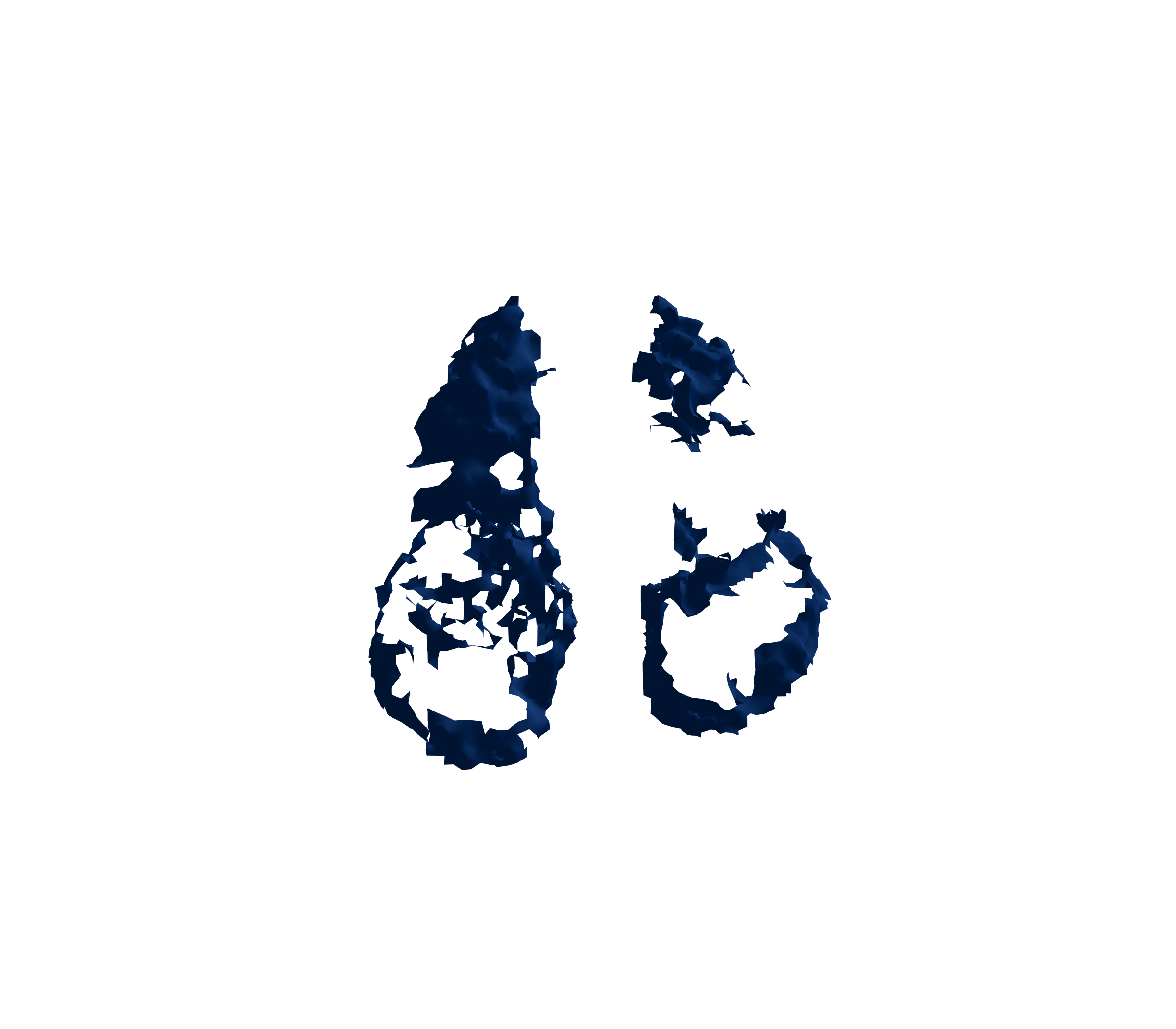 Surface Mesh (Inspiration) - Front View