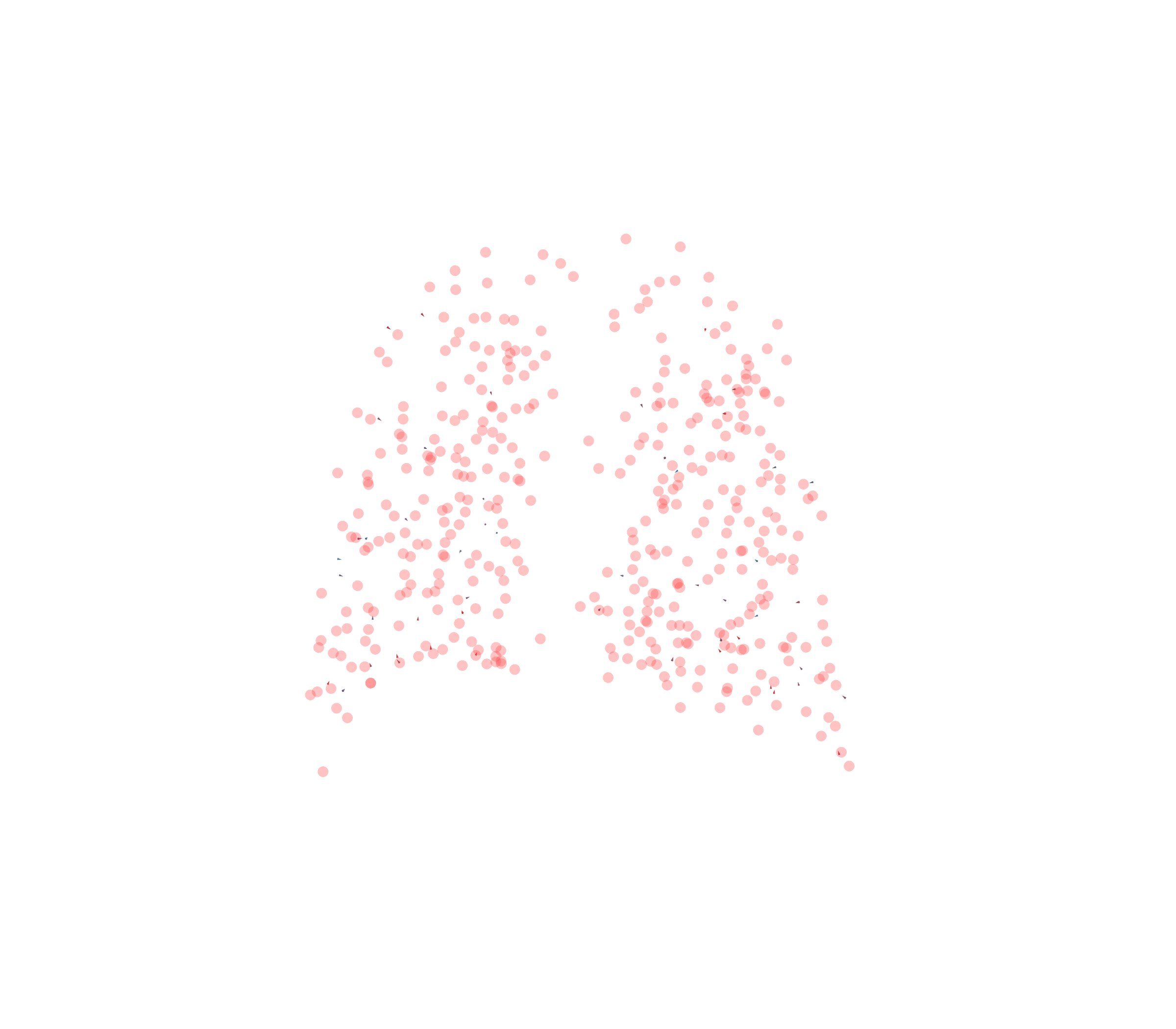 Displacement Vectors - Back View