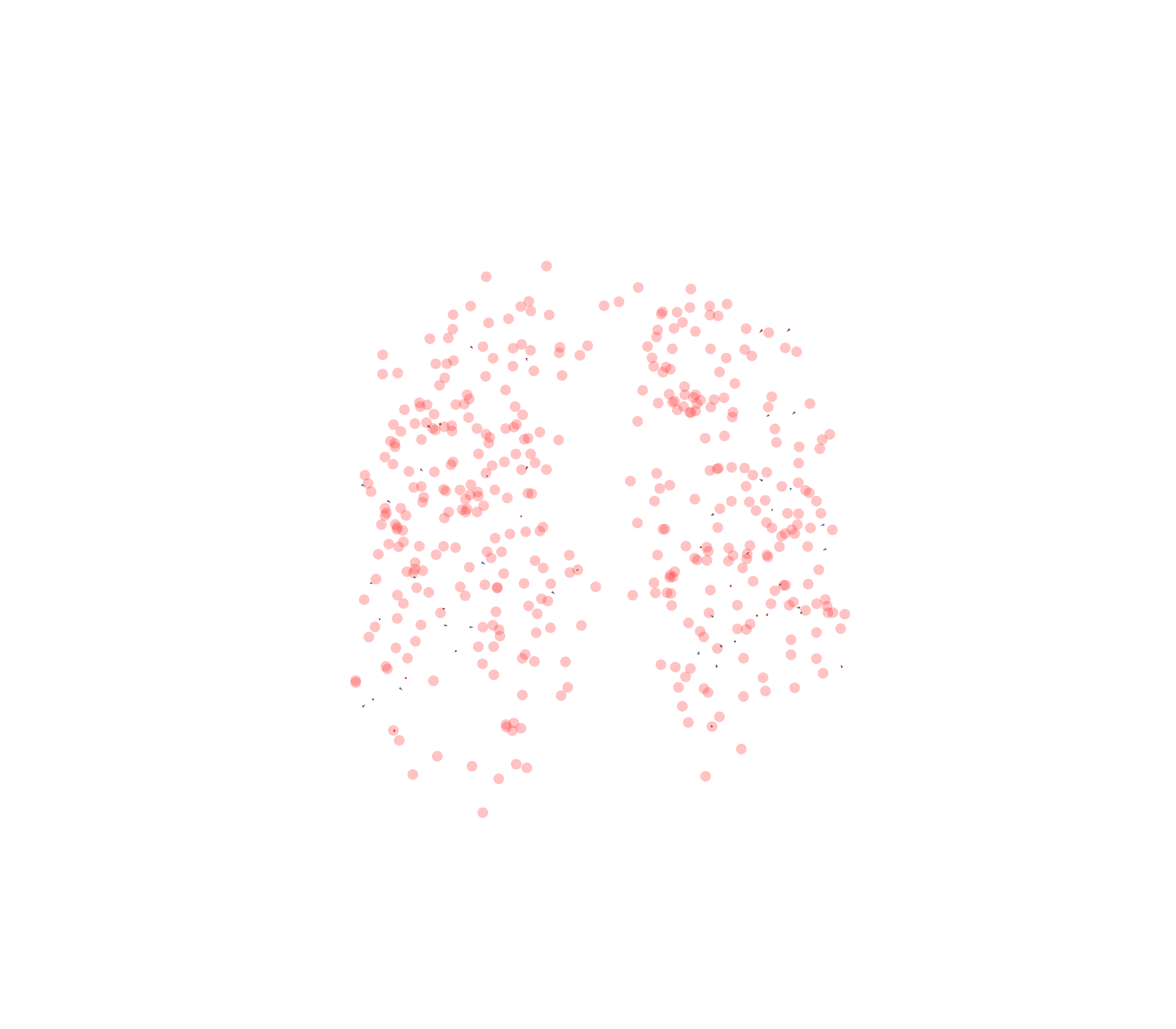 Displacement Vectors - Front View