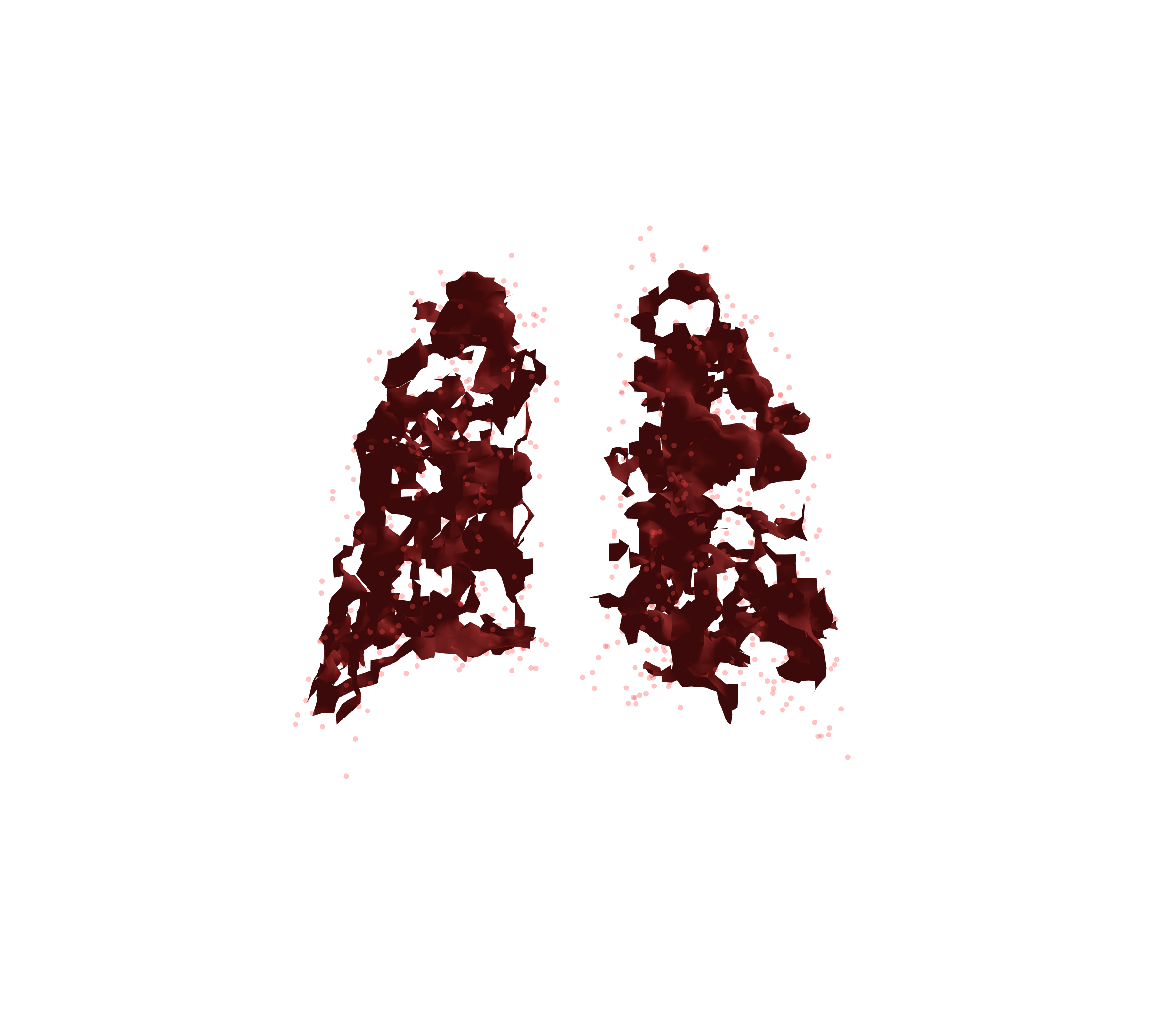 Combined Visualization (Expiration) - Back View