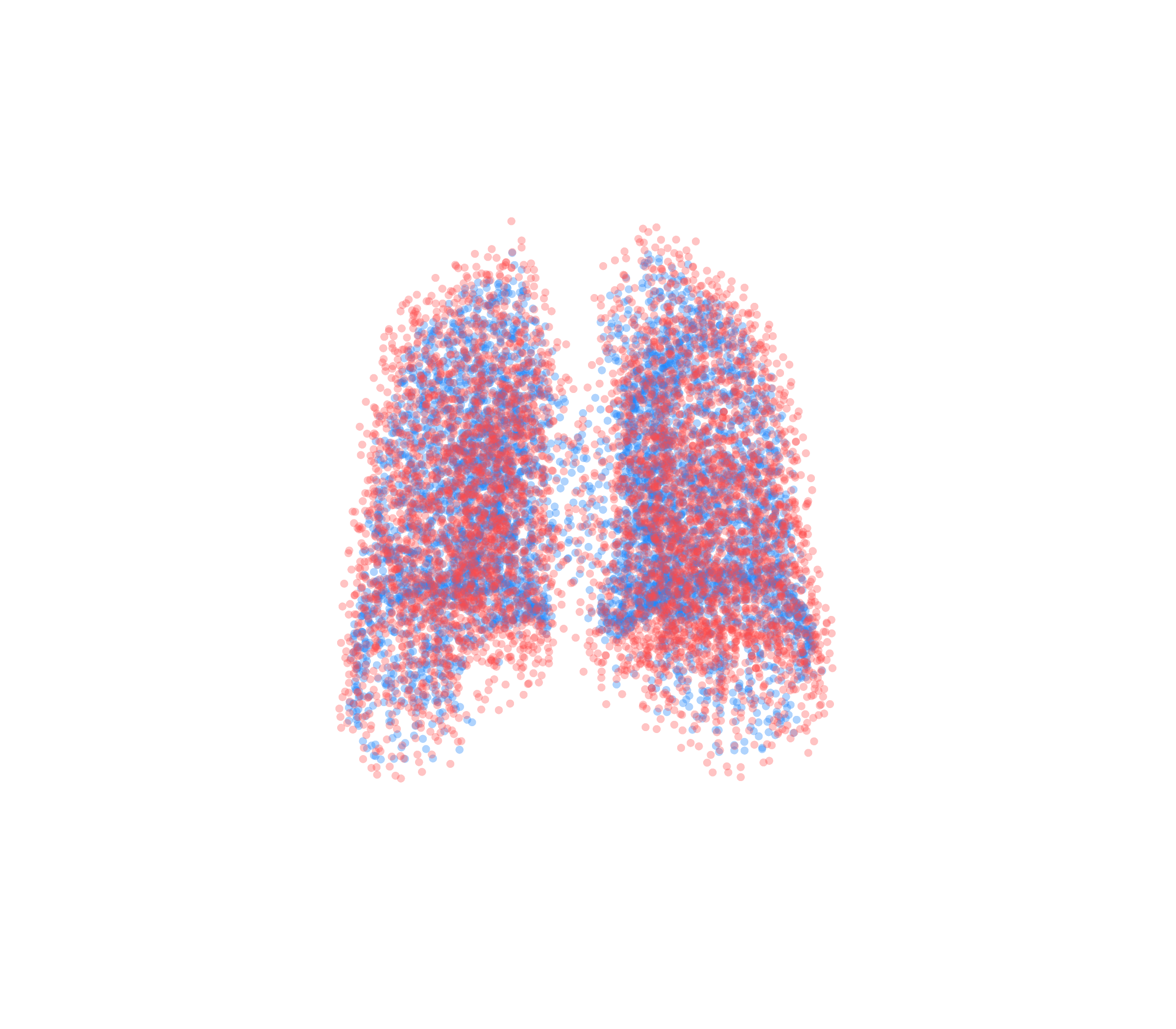 Point Cloud - Back View