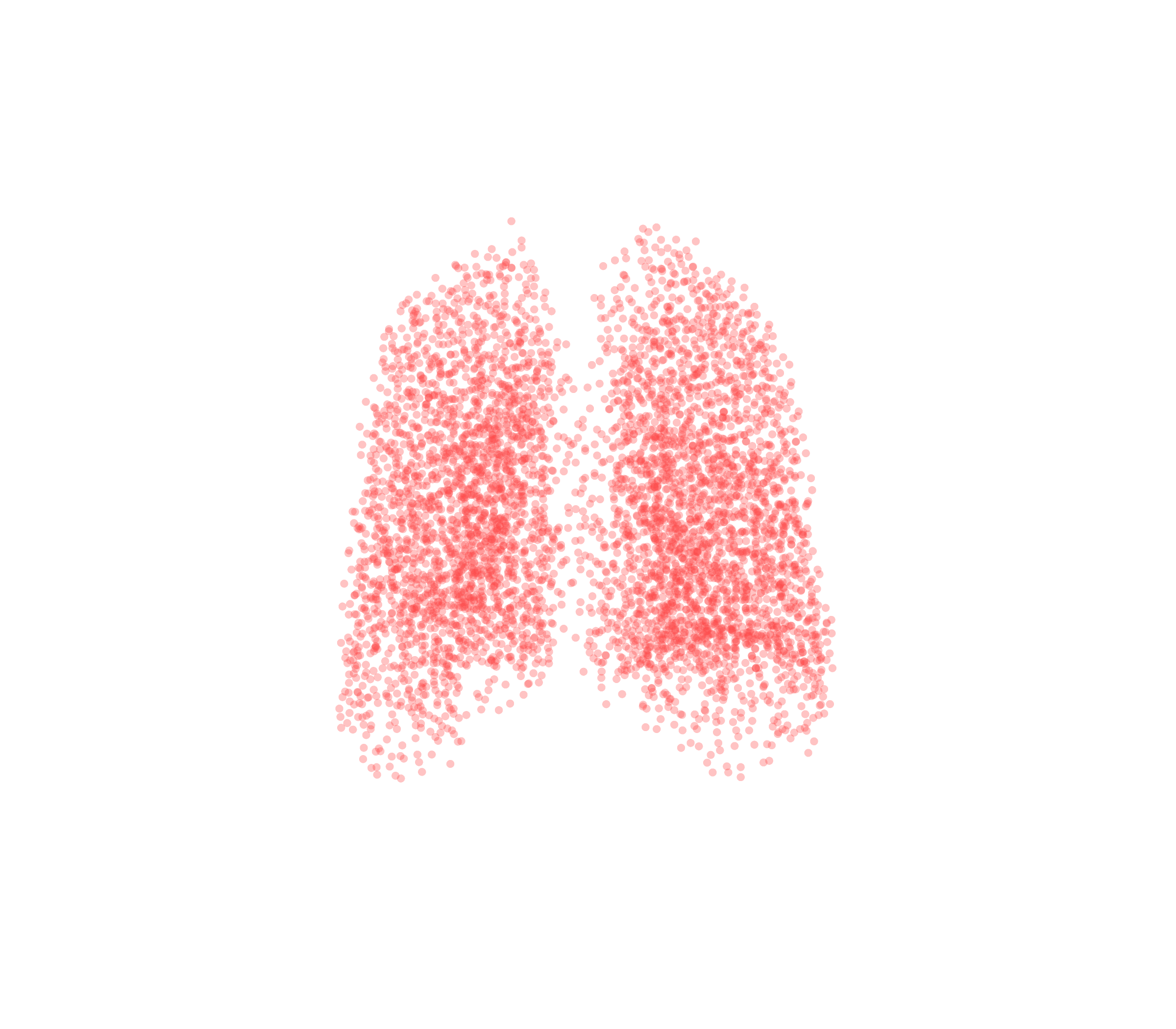 Point Cloud (Expiration) - Back View