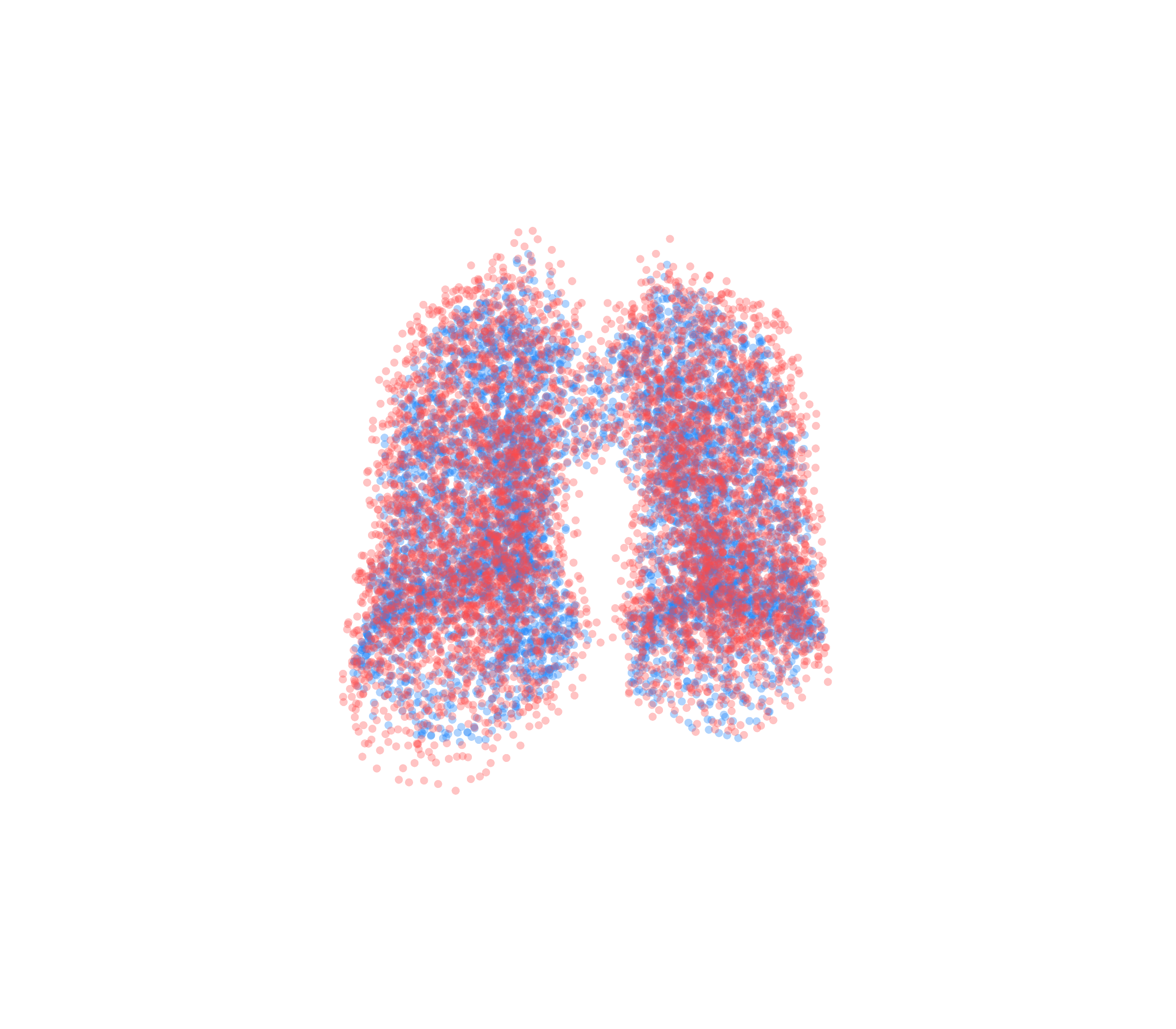 Point Cloud - Front View