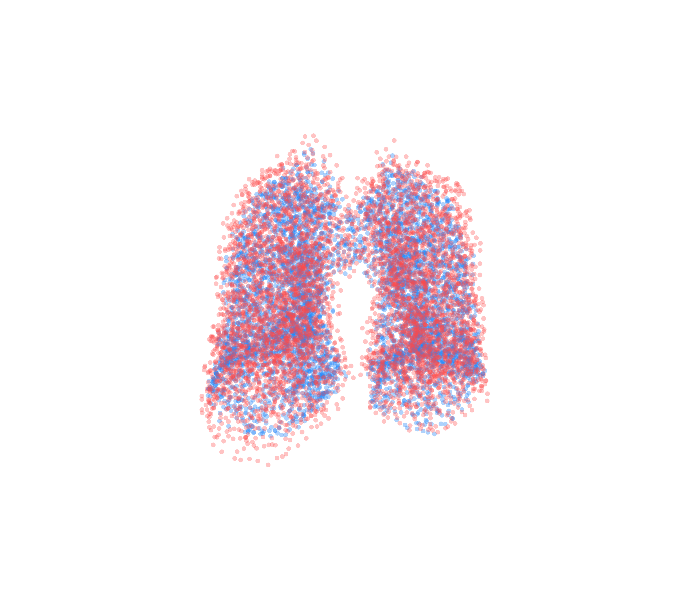 Point Cloud - Front View
