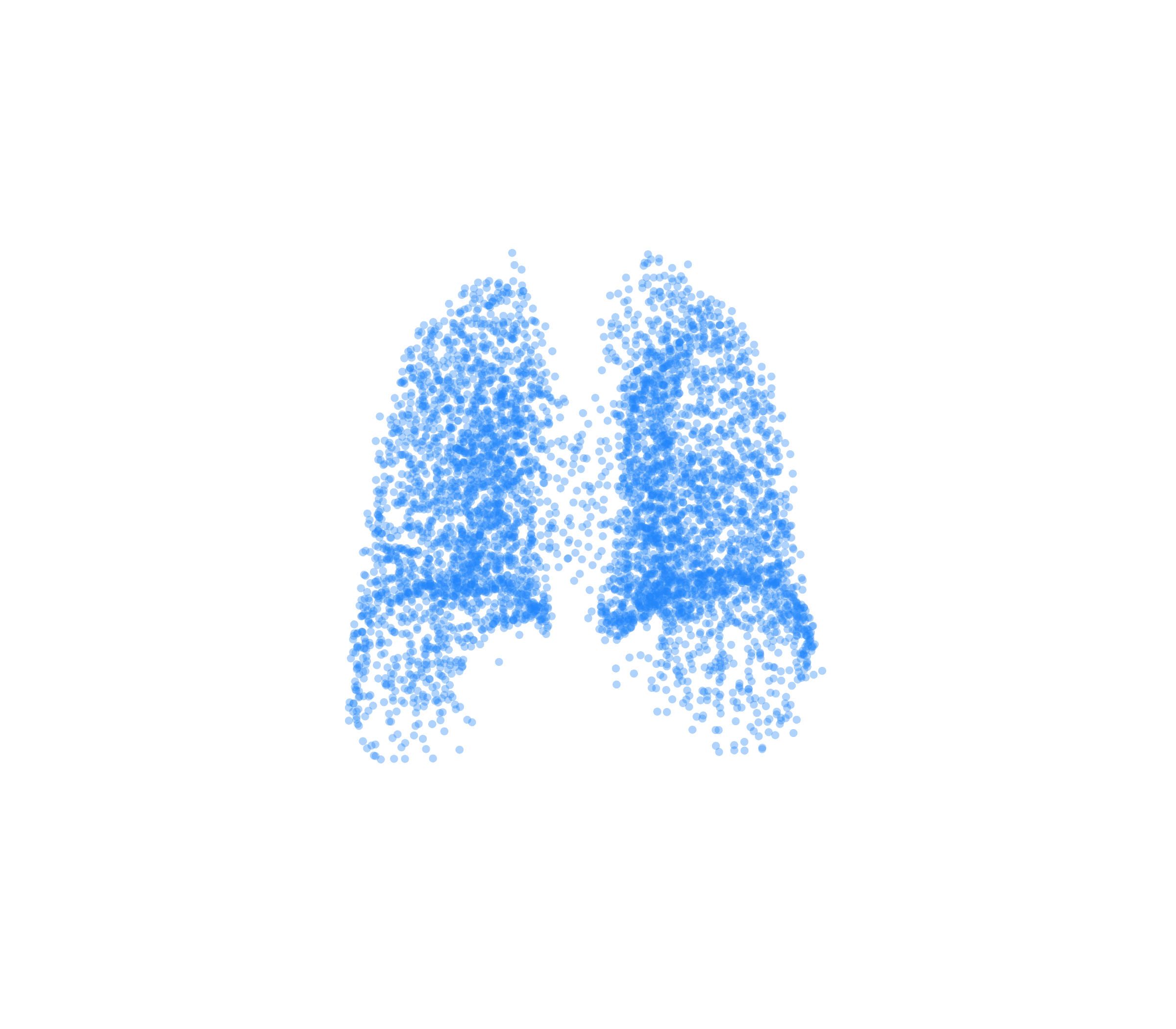 Point Cloud (Inspiration) - Back View