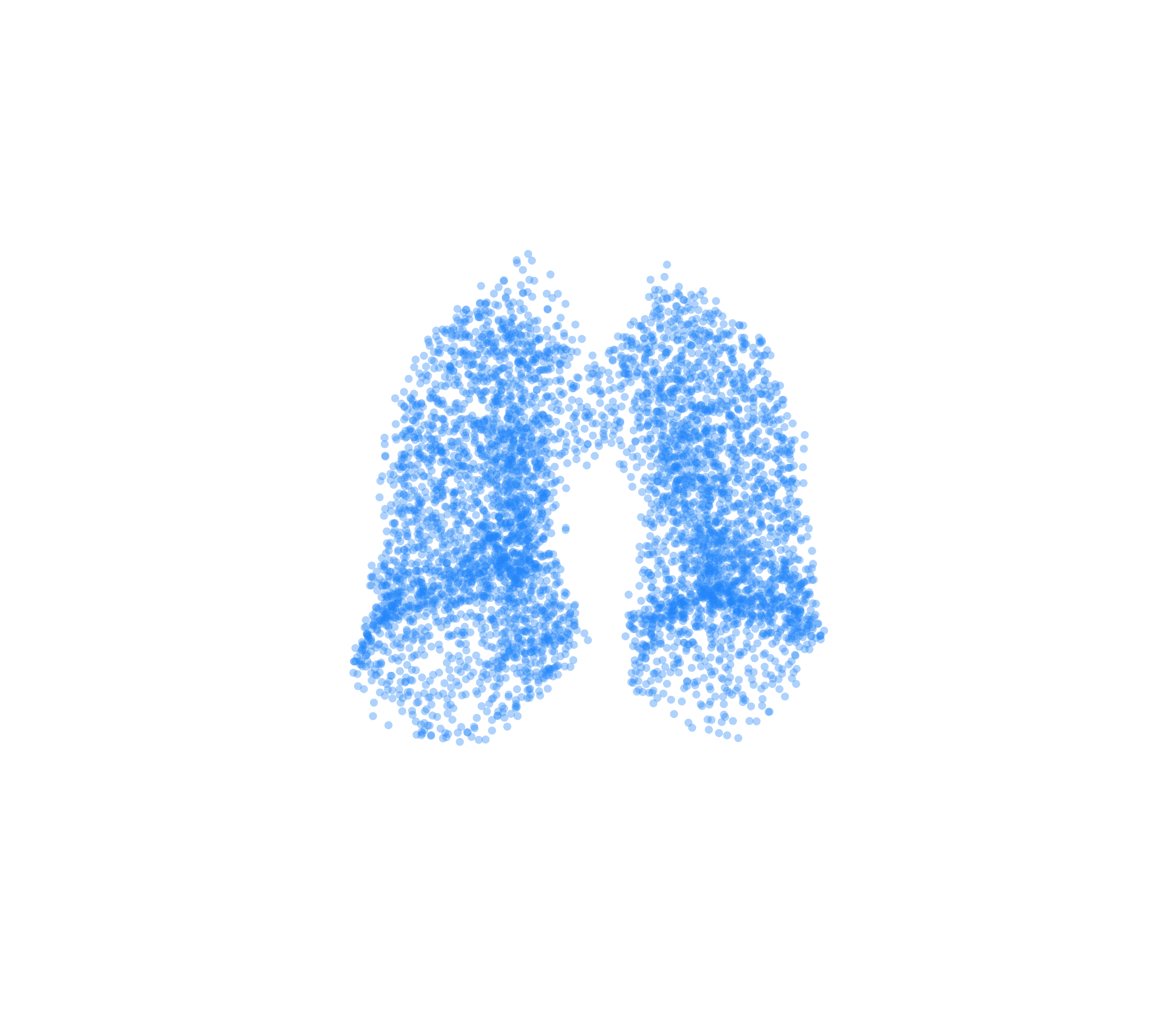 Point Cloud (Inspiration) - Front View