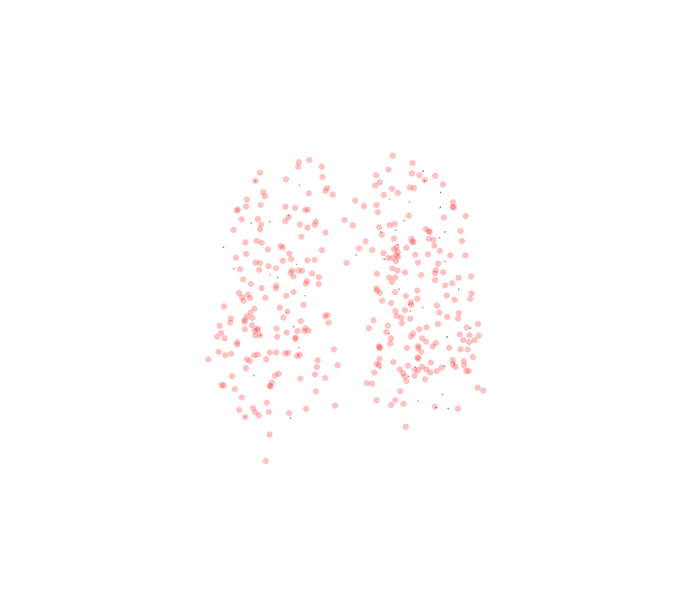 Displacement Vectors - Front View