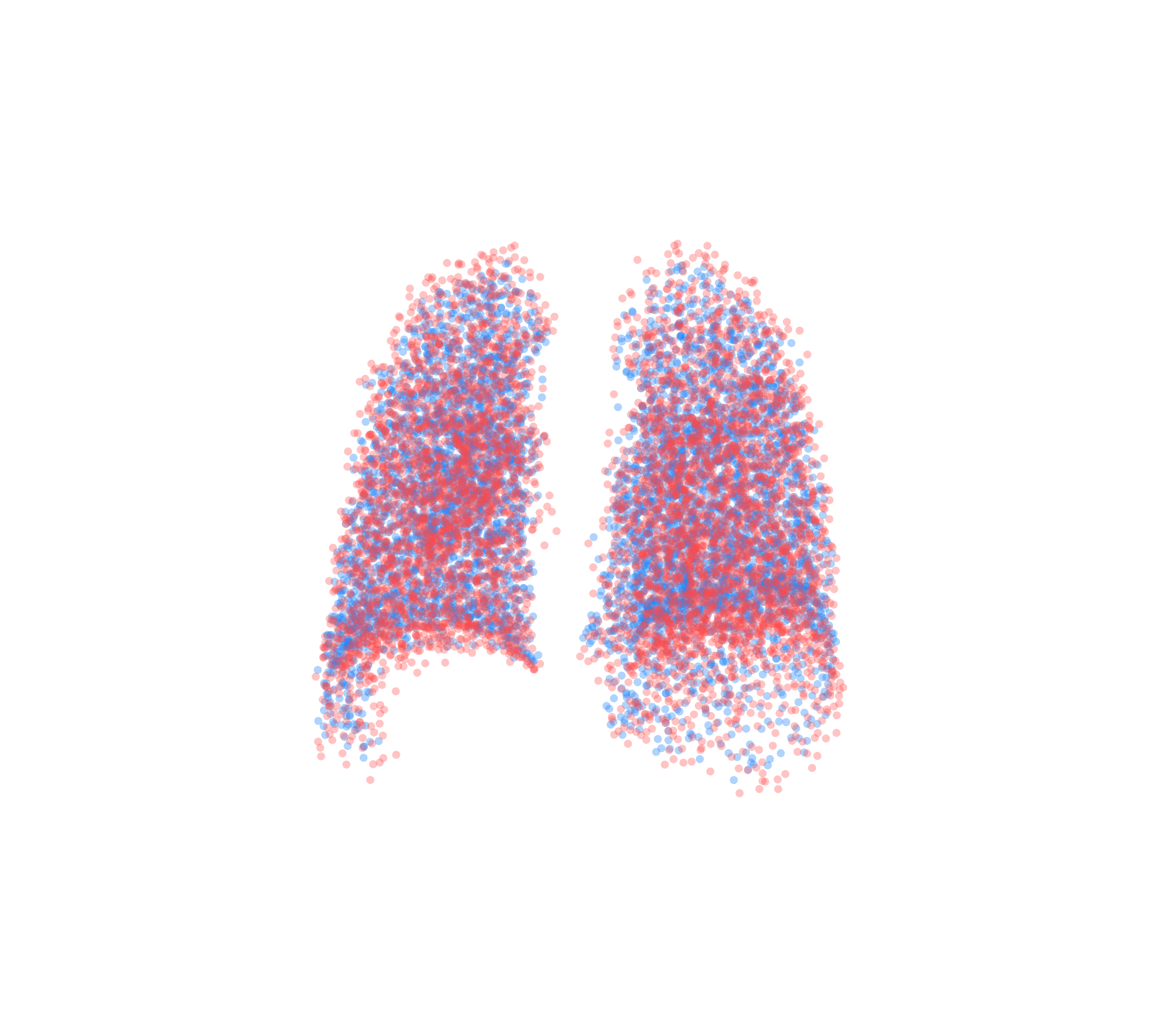 Point Cloud - Back View