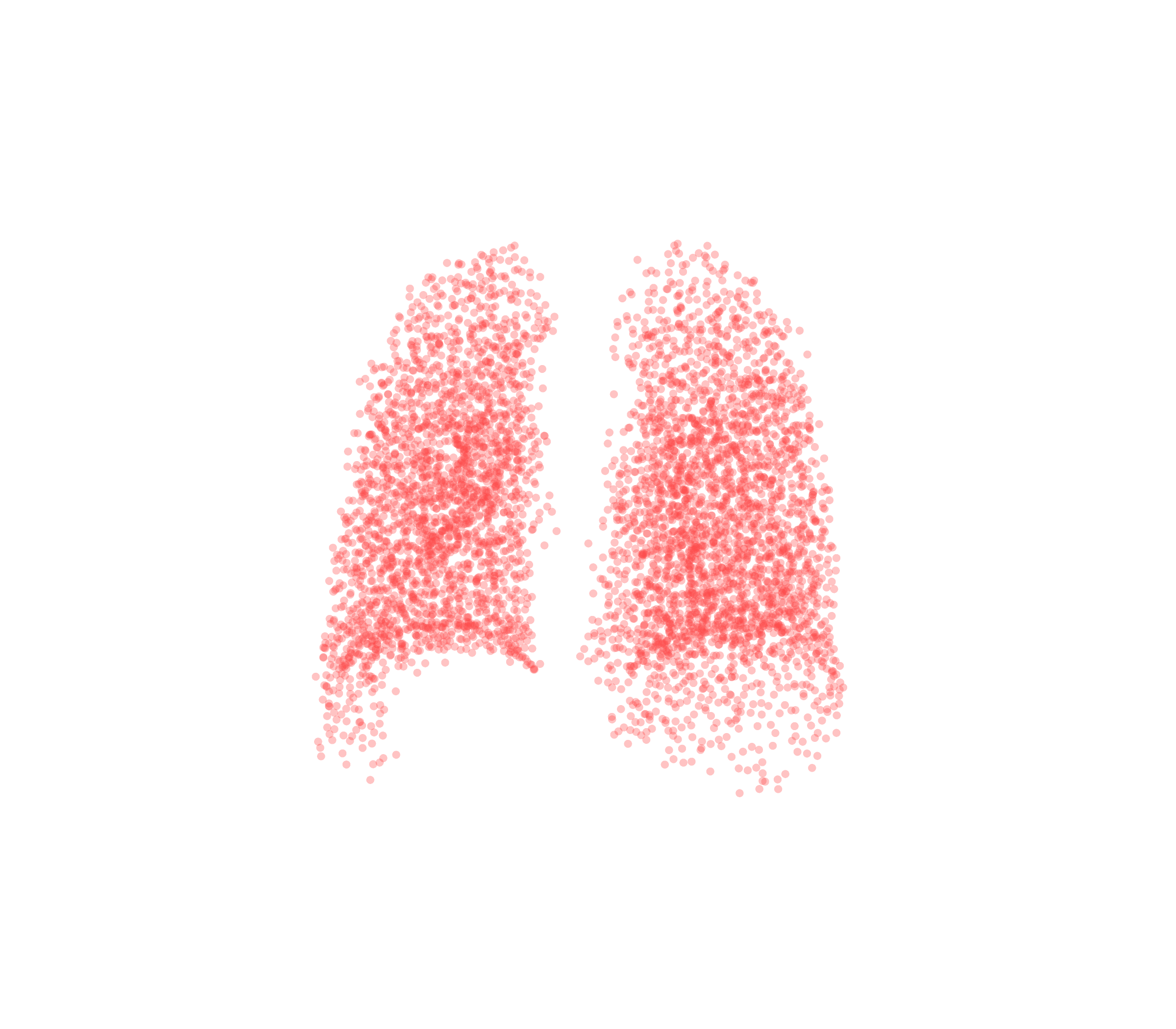 Point Cloud (Expiration) - Back View