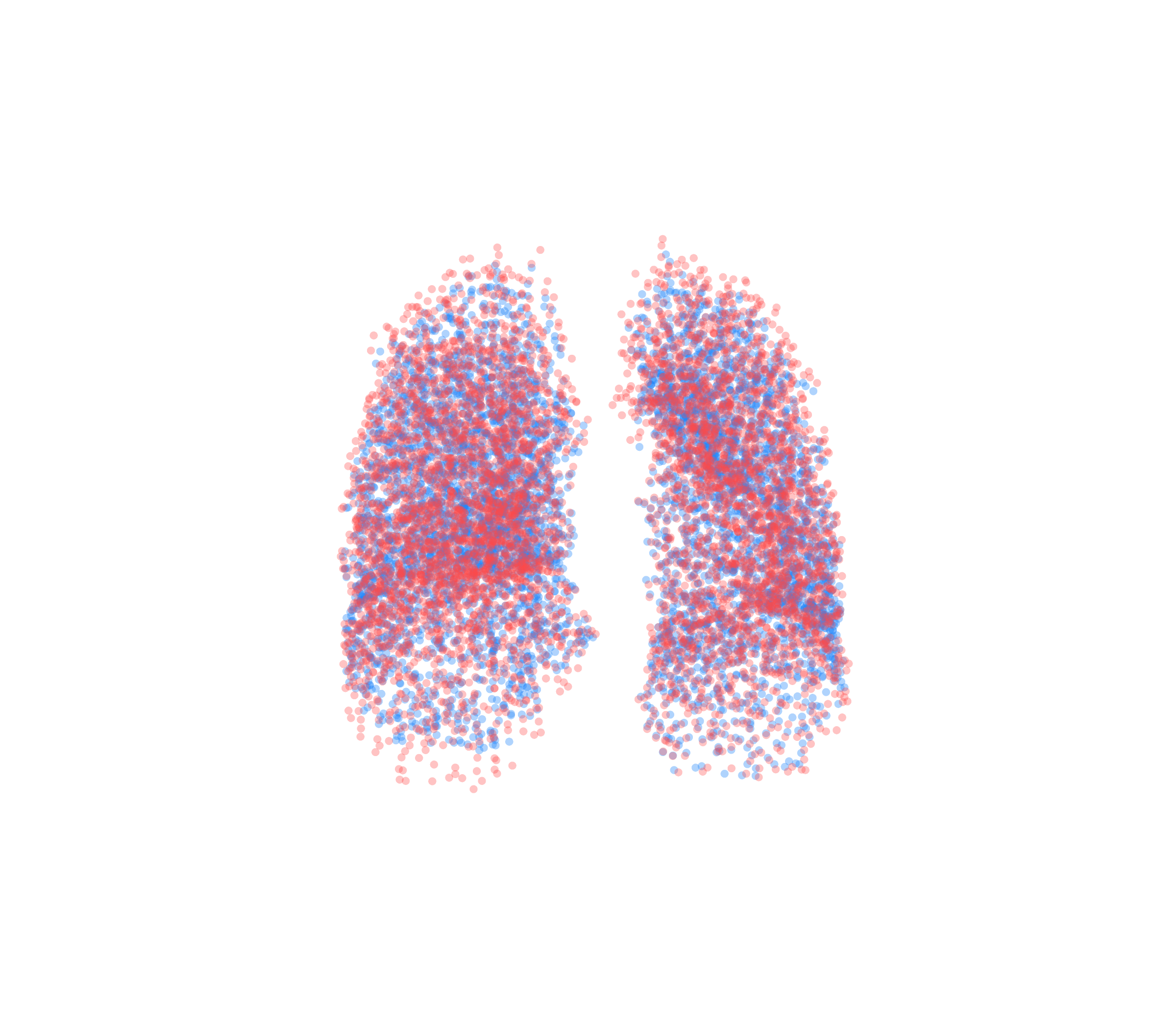 Point Cloud - Front View