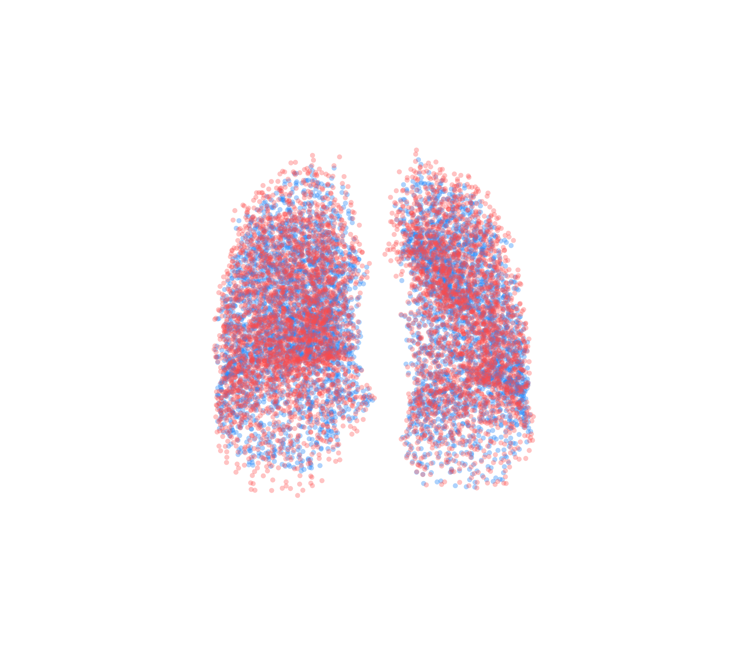 Point Cloud - Front View