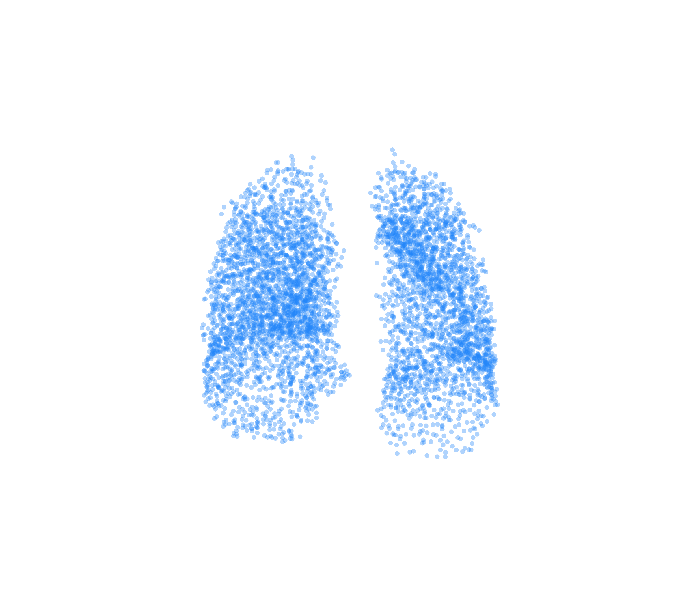 Point Cloud (Inspiration) - Front View