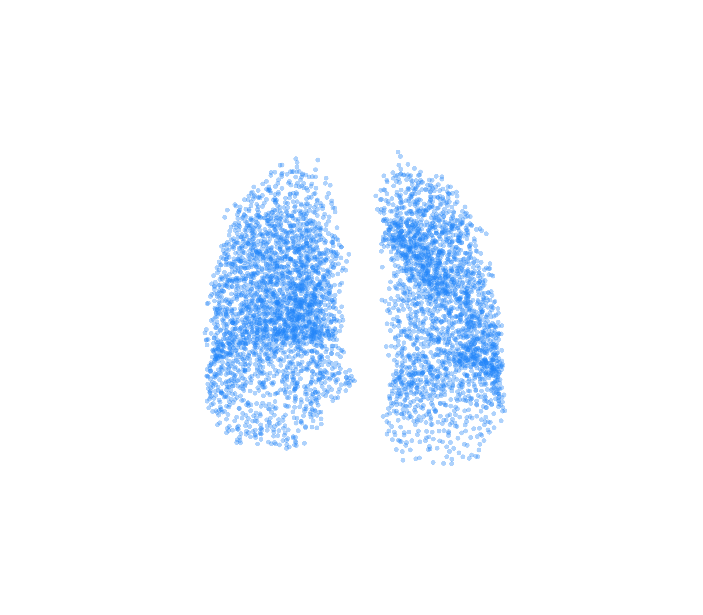 Point Cloud (Inspiration) - Front View