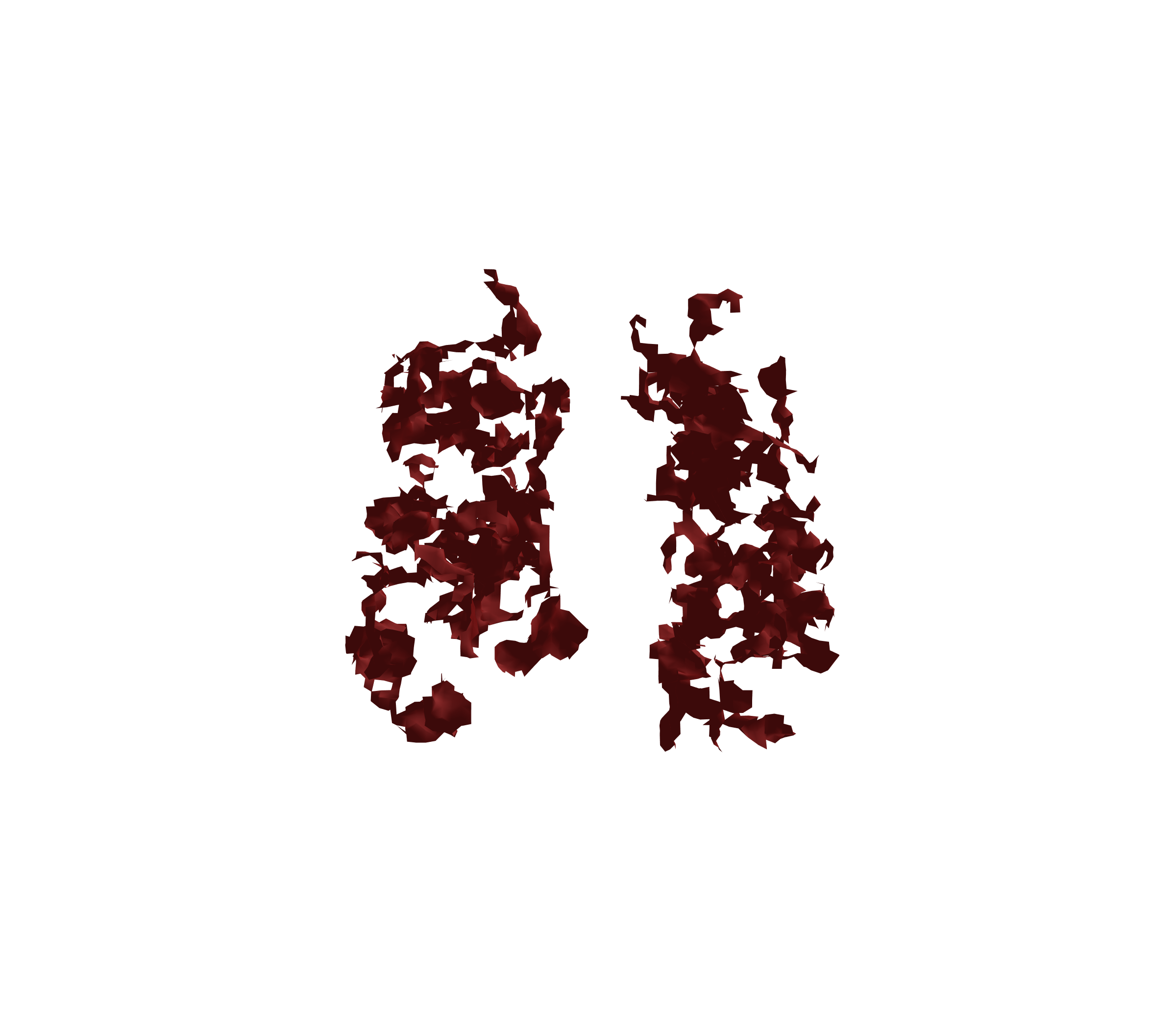 Surface Mesh (Expiration) - Front View