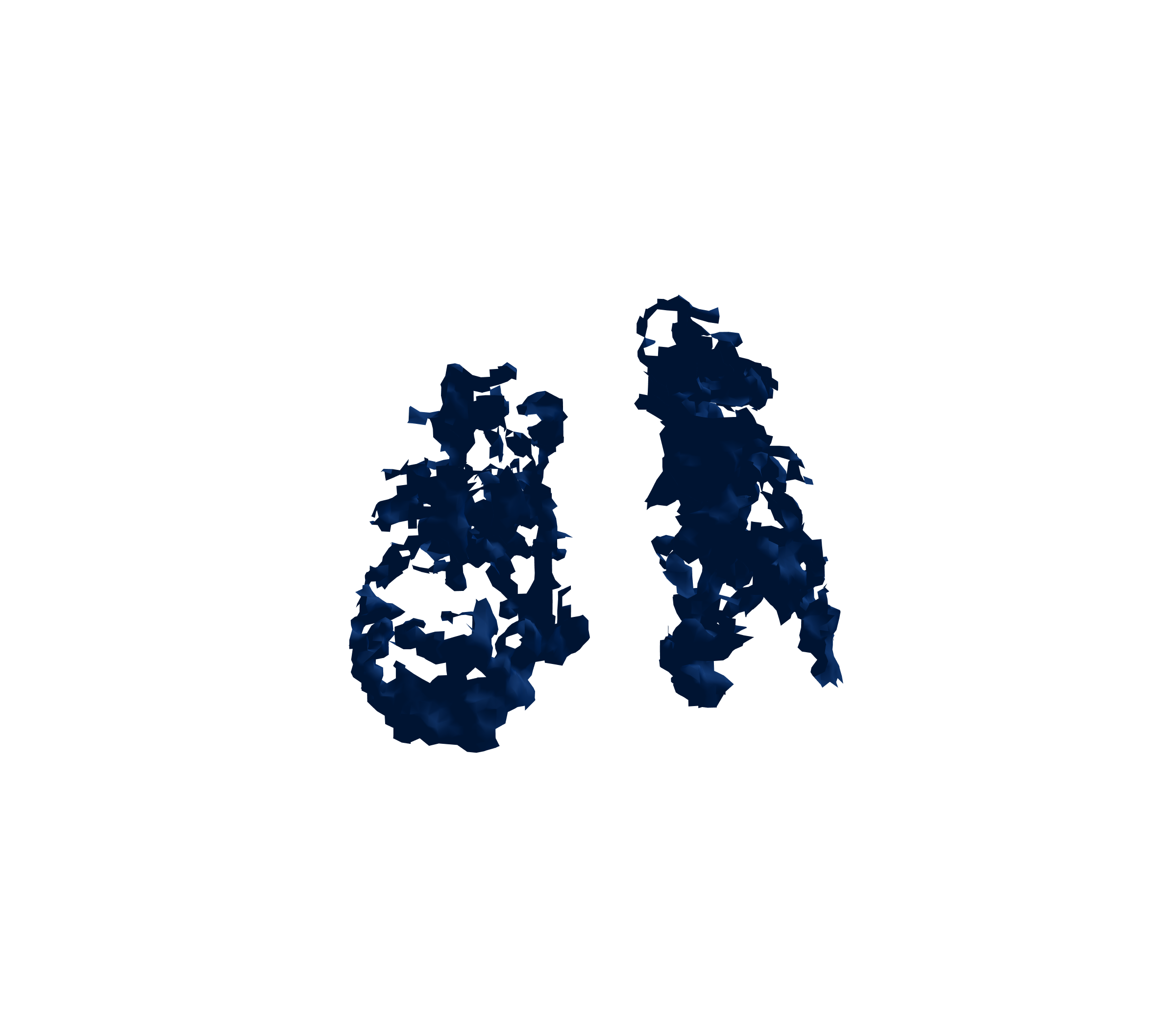 Surface Mesh (Inspiration) - Front View