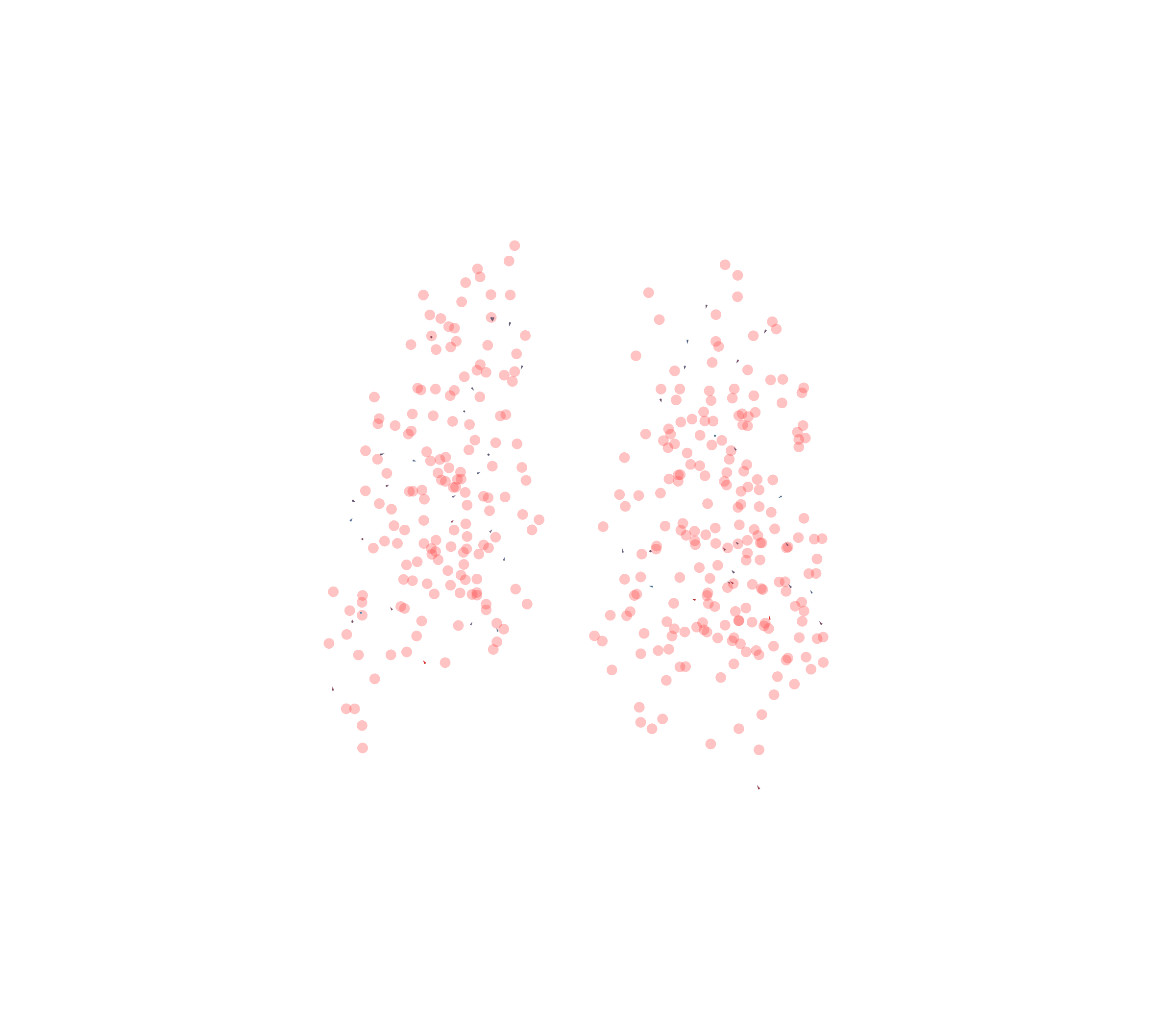 Displacement Vectors - Back View