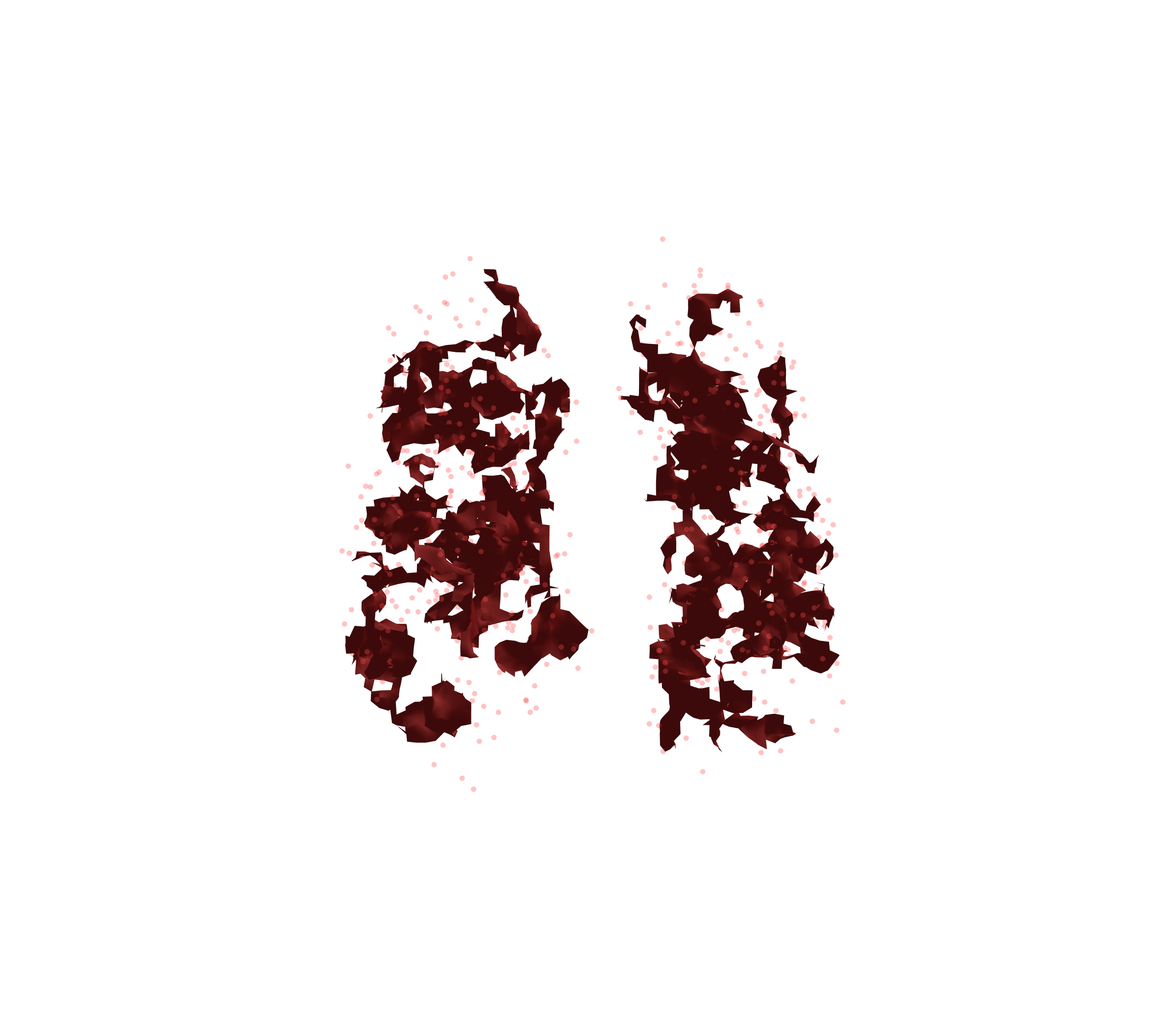 Combined Visualization (Expiration) - Front View