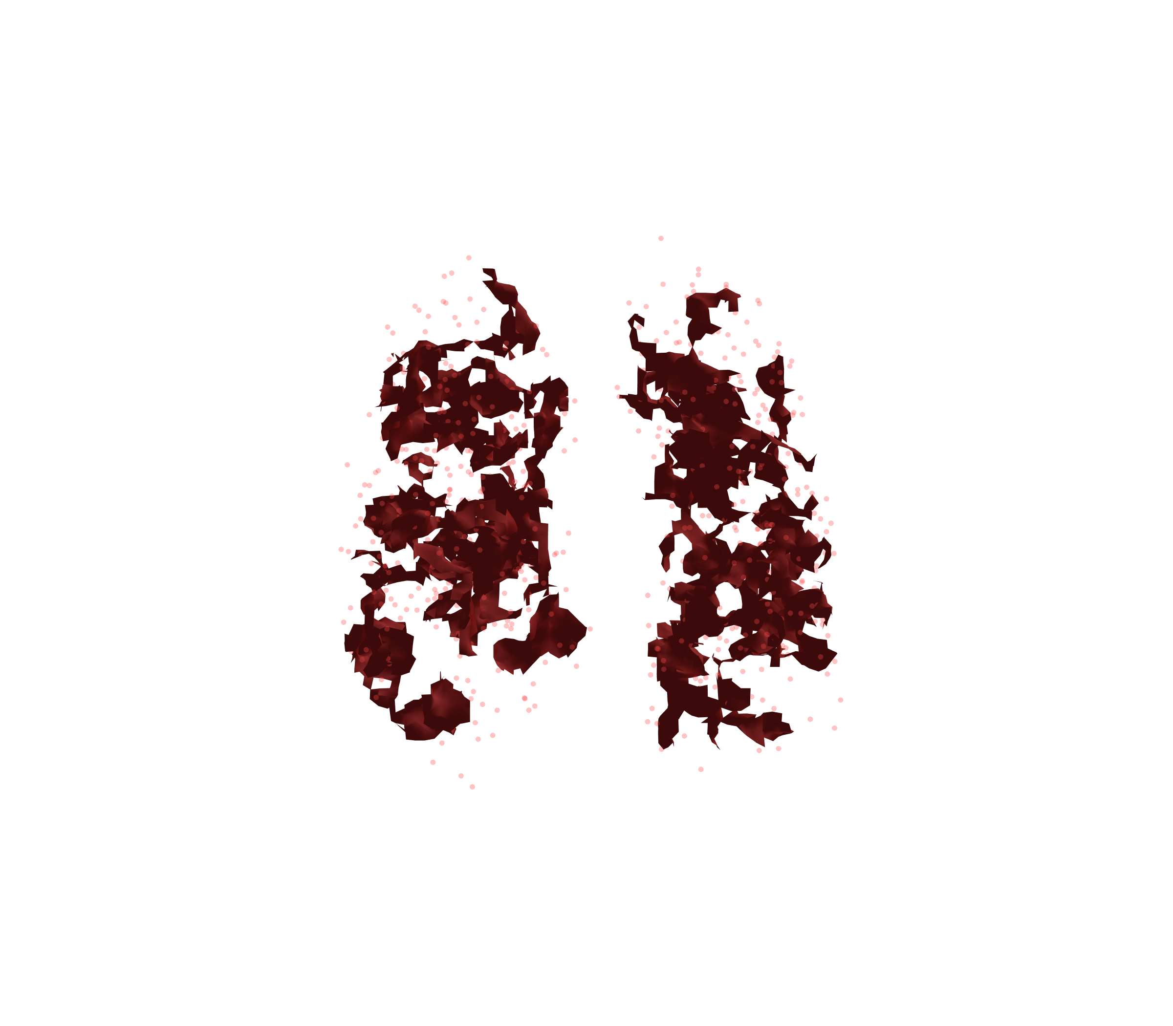 Combined Visualization (Expiration) - Front View