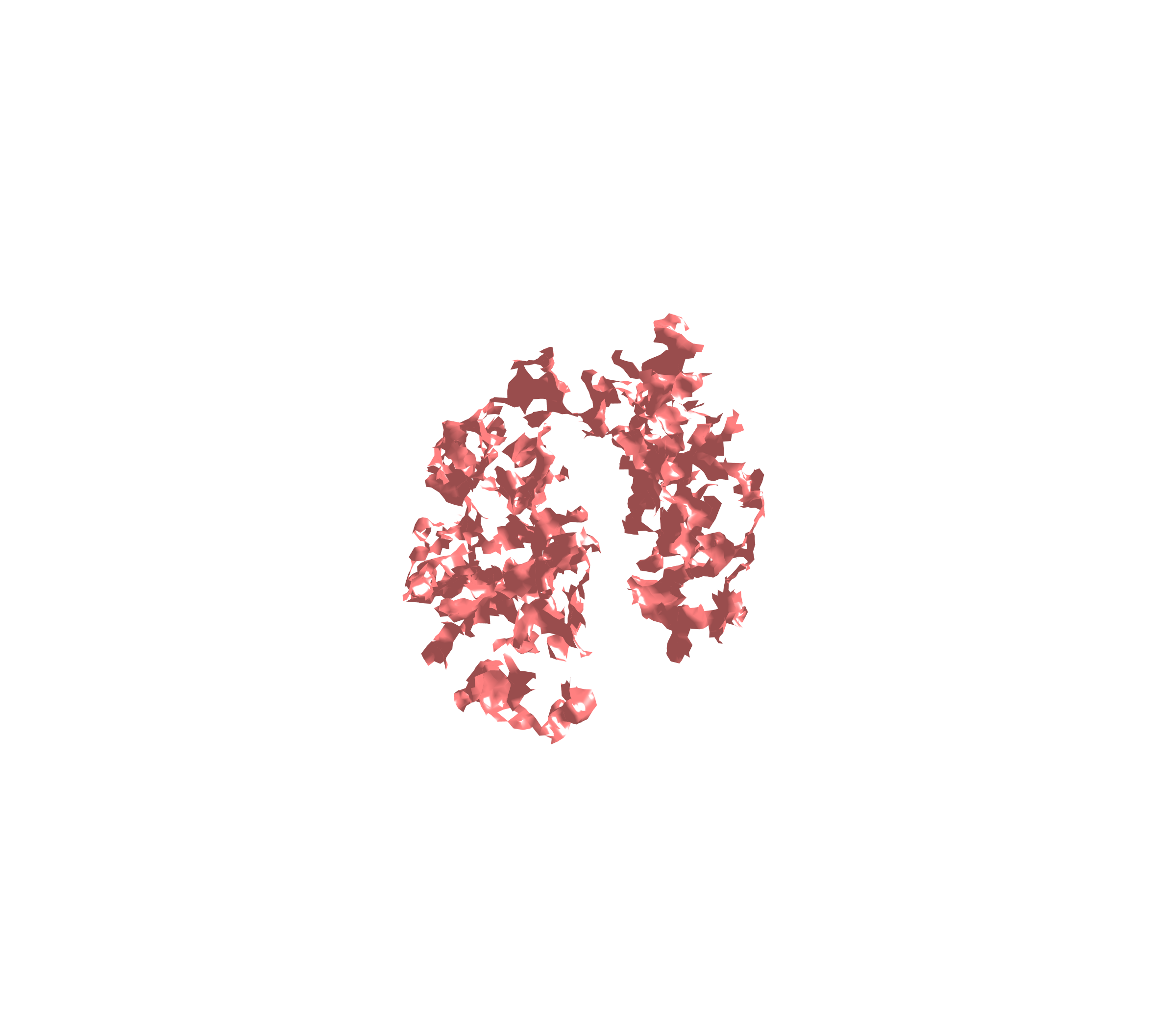 Surface (Expiration) - Diagonal View