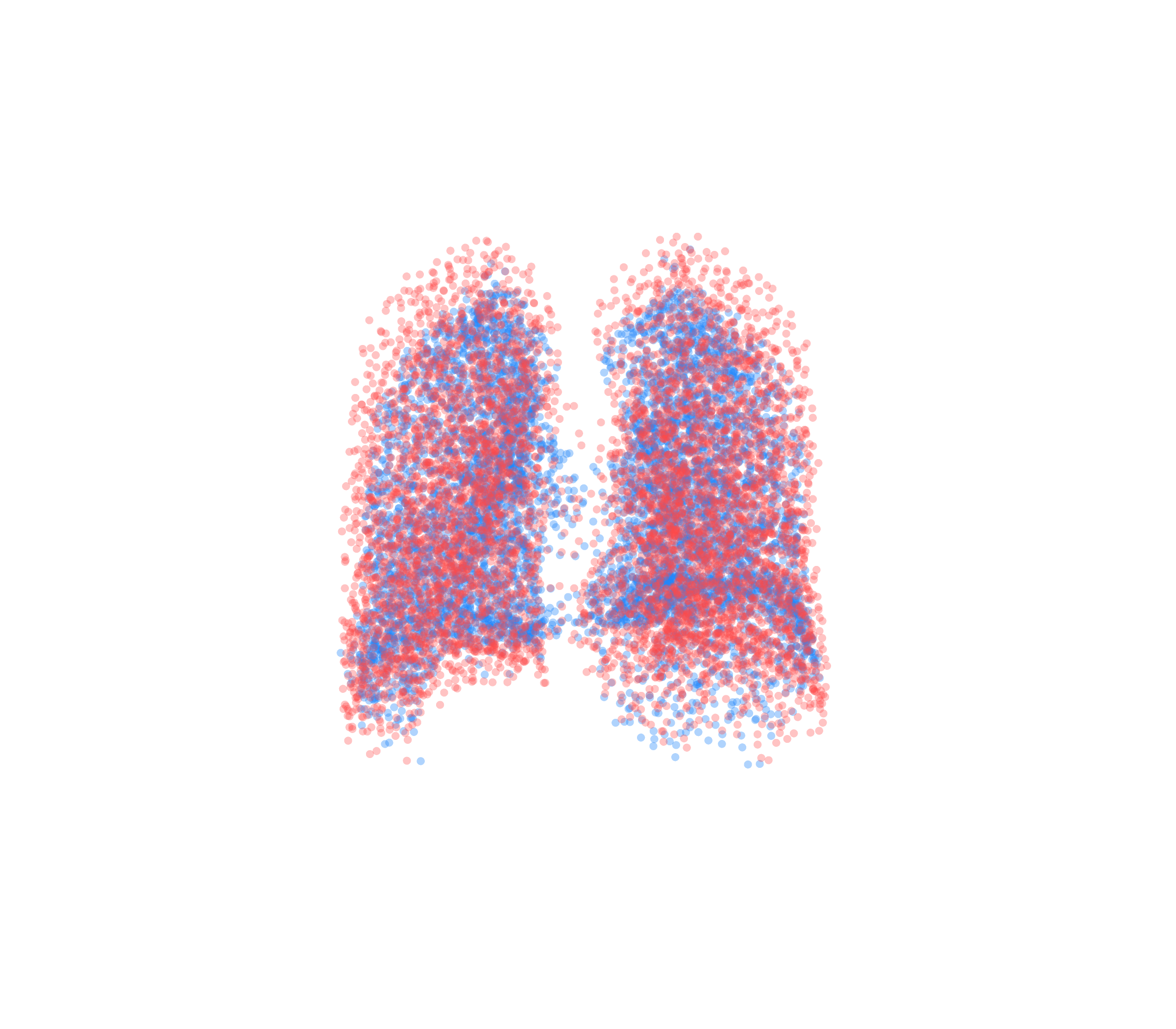 Point Cloud - Back View