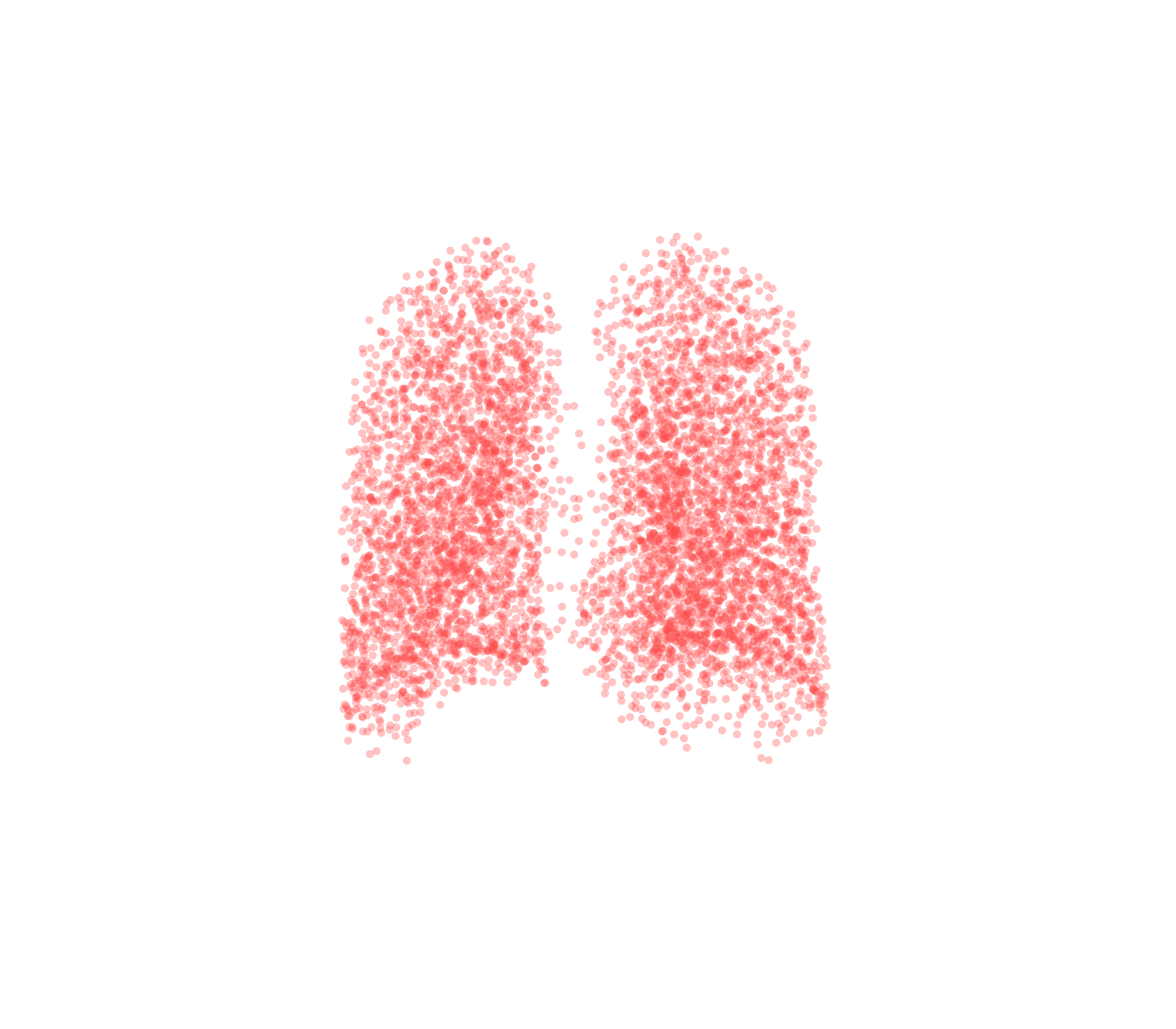 Point Cloud (Expiration) - Back View