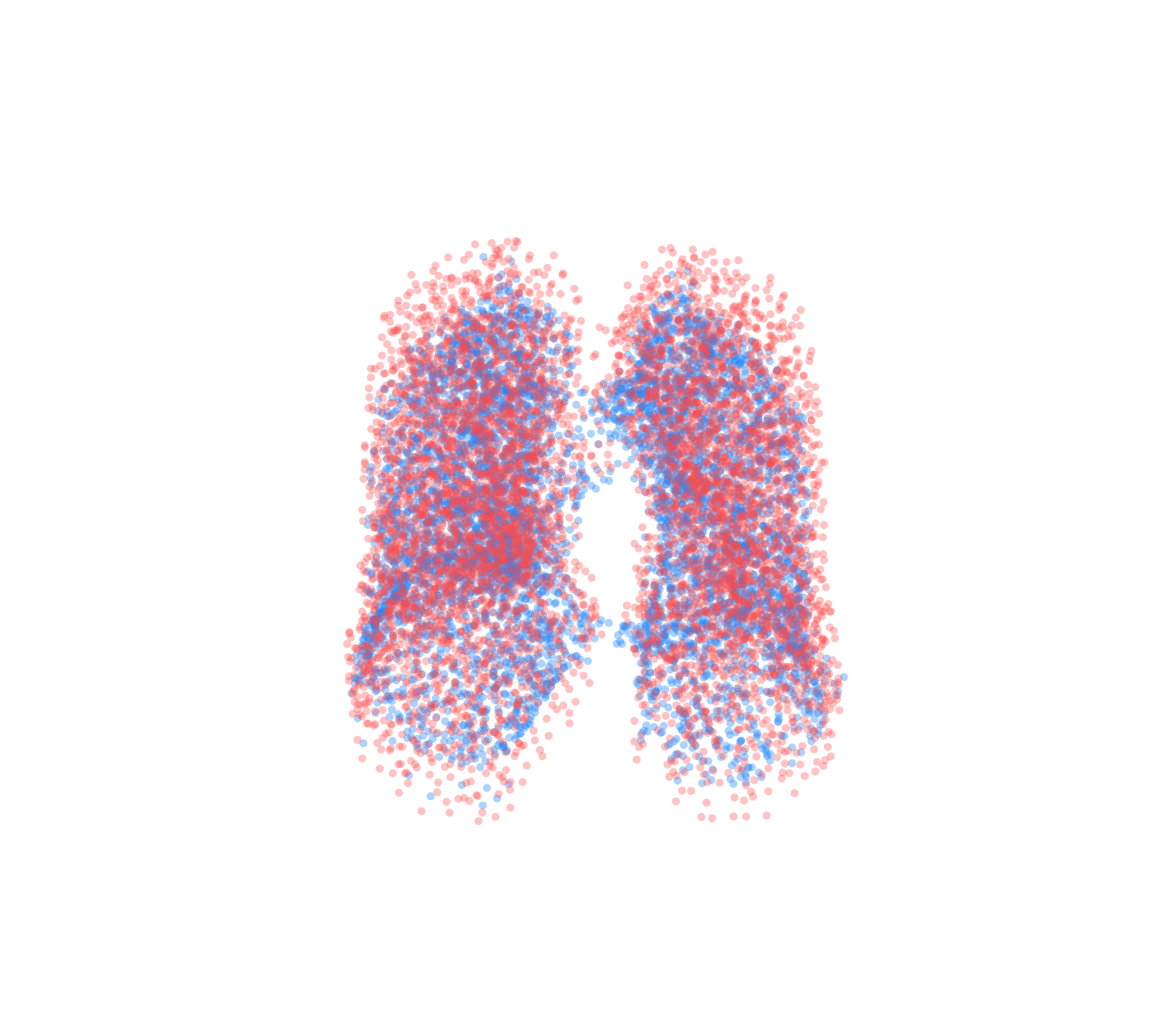 Point Cloud - Front View