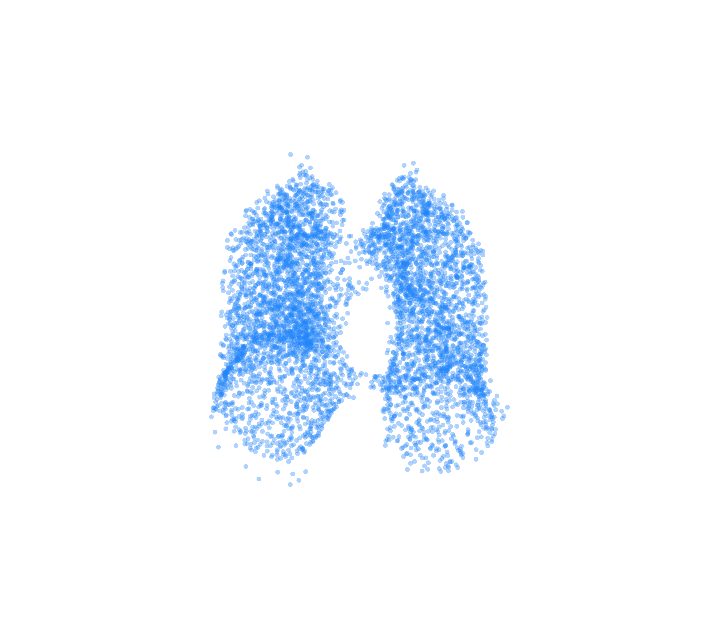 Point Cloud (Inspiration) - Front View