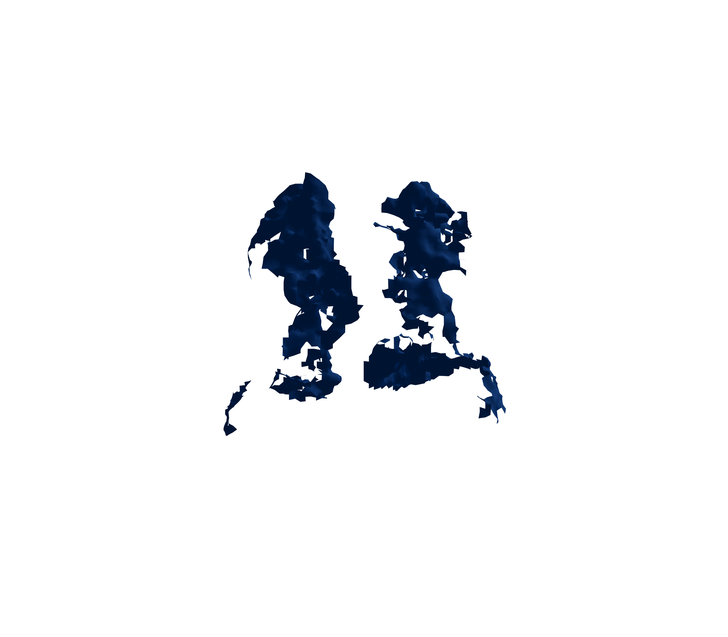 Surface Mesh (Inspiration) - Back View