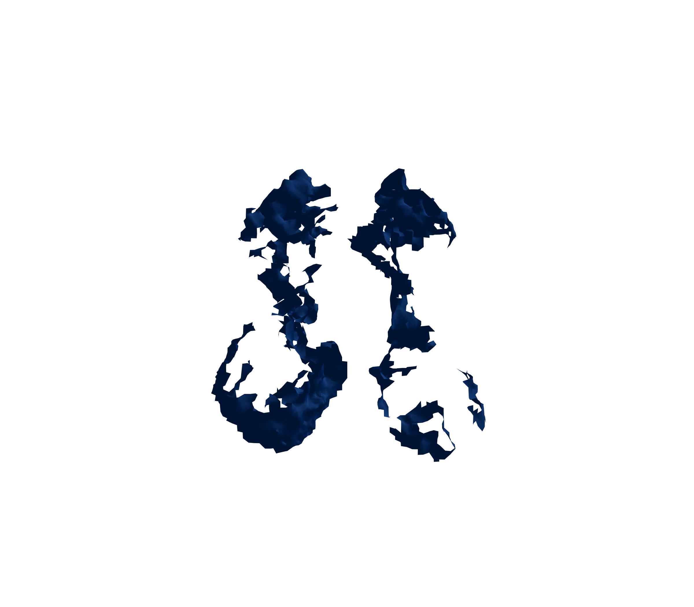 Surface Mesh (Inspiration) - Front View