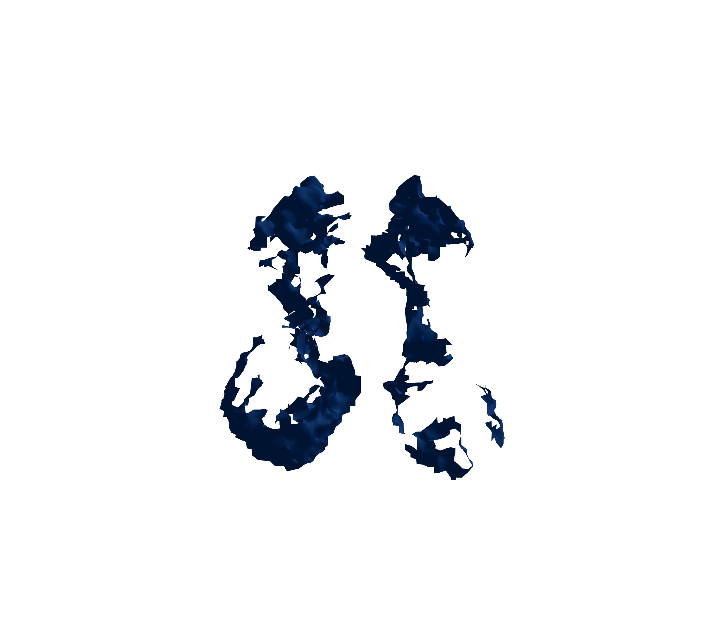 Surface Mesh (Inspiration) - Front View