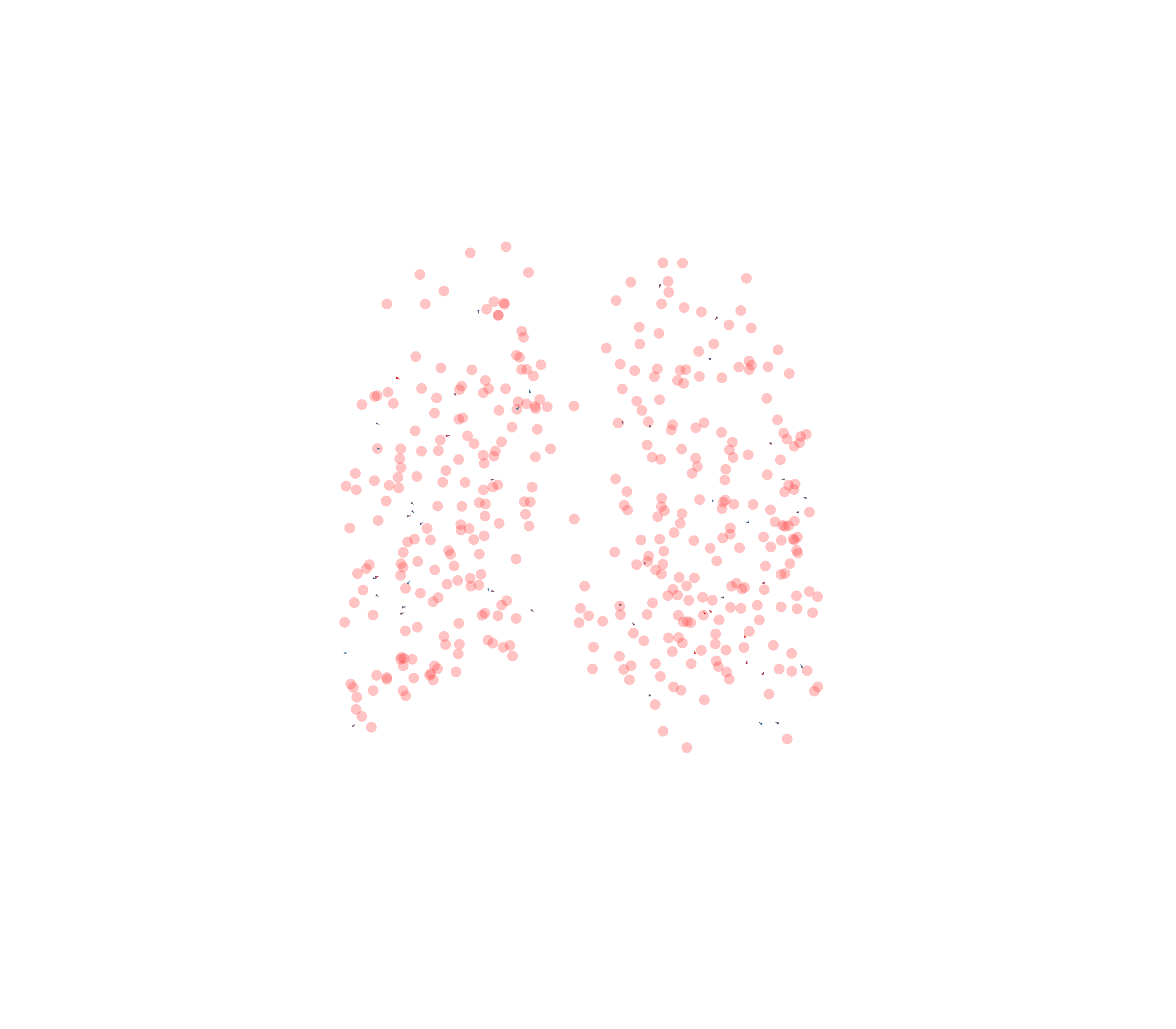 Displacement Vectors - Back View