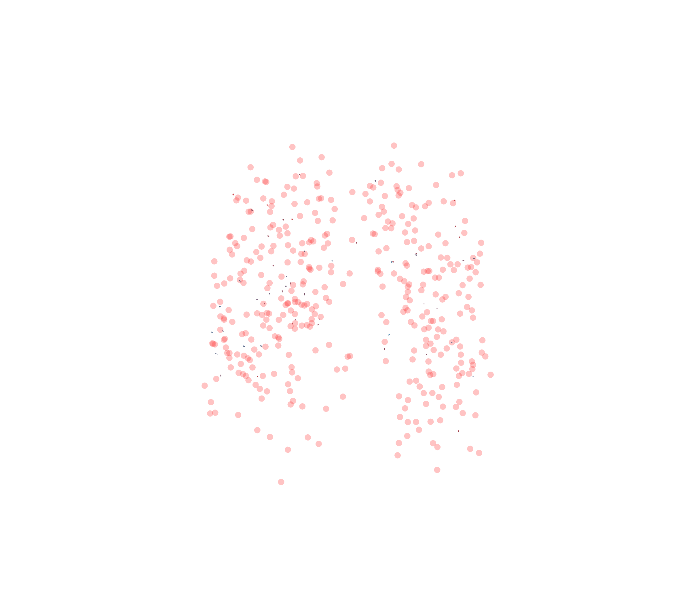 Displacement Vectors - Front View