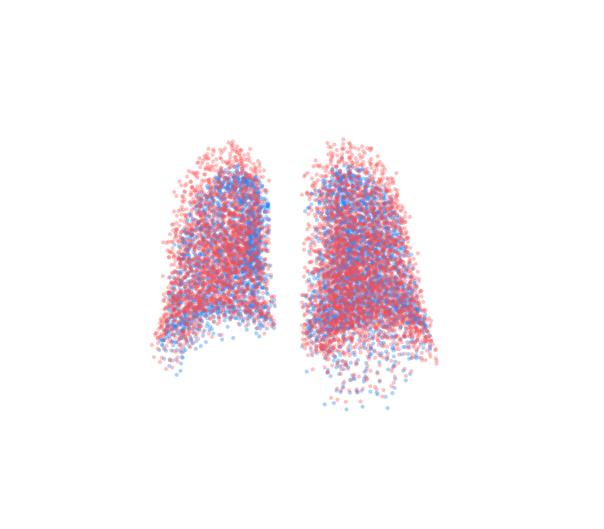 Point Cloud - Back View