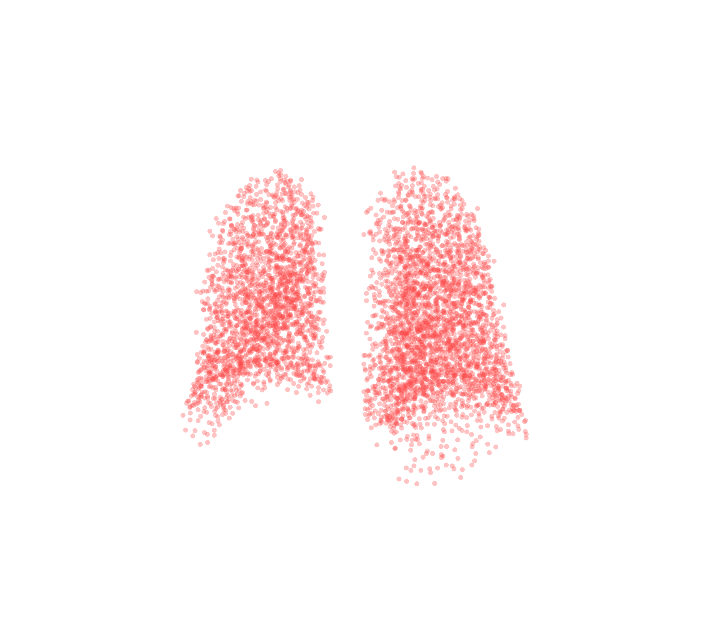 Point Cloud (Expiration) - Back View