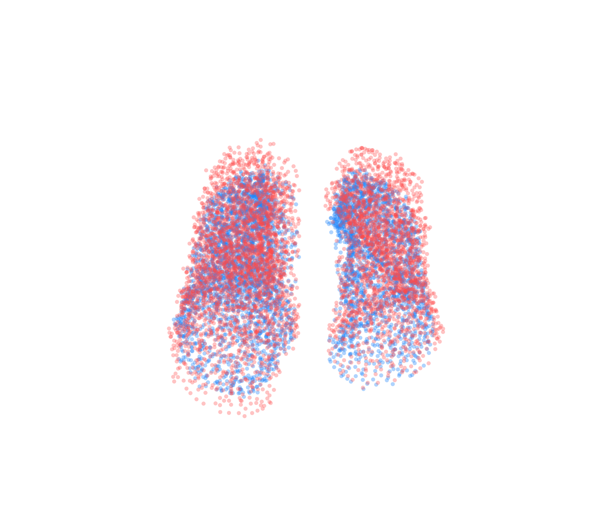 Point Cloud - Front View